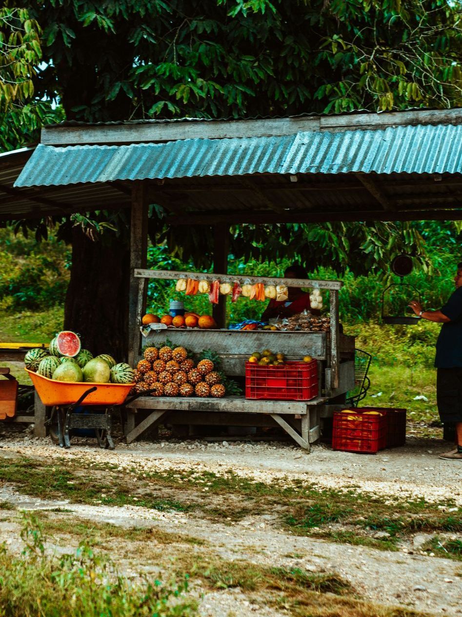 Fruit stand under a corrugated roof in the jungle of Belize.
