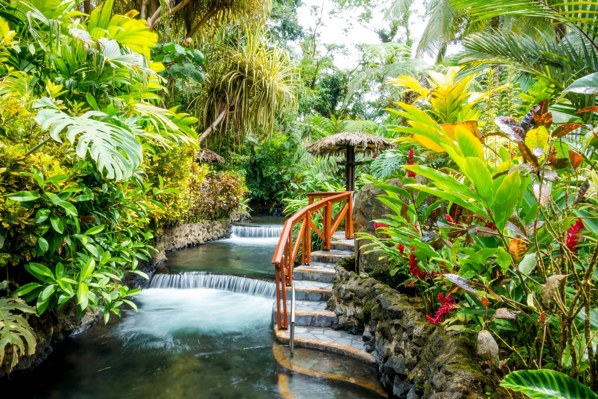 A stream with waterfalls and a wooden bridge surrounded by vibrant green vegetation at the Tabacon Hot Springs, Costa Rica.