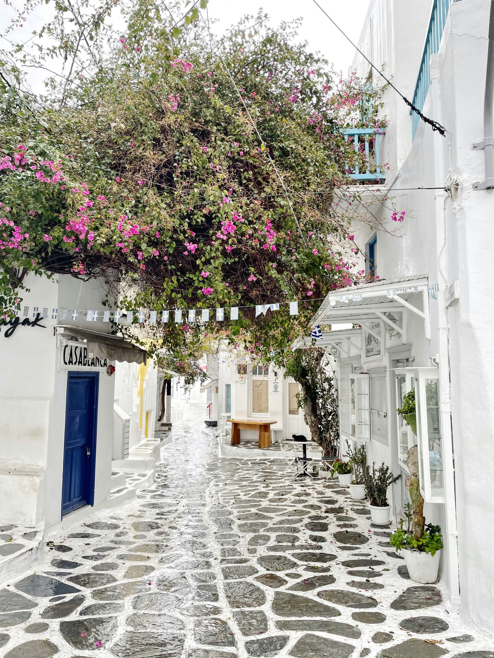 A narrow street with white buildings and pink flowers in Mykonos, Greece.