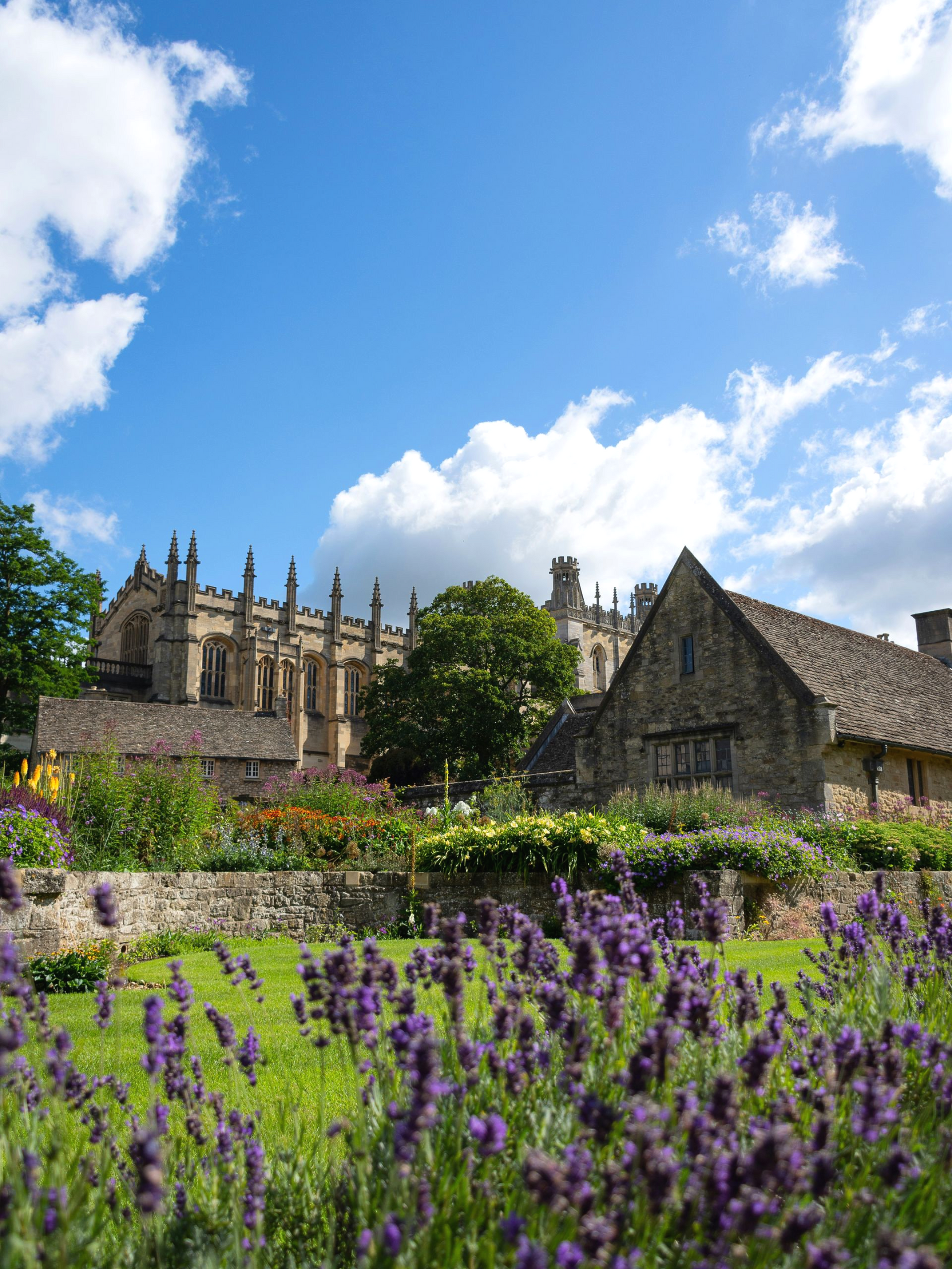 Lavender field in bloom, stone buildings, sunny sky, Oxford, England.