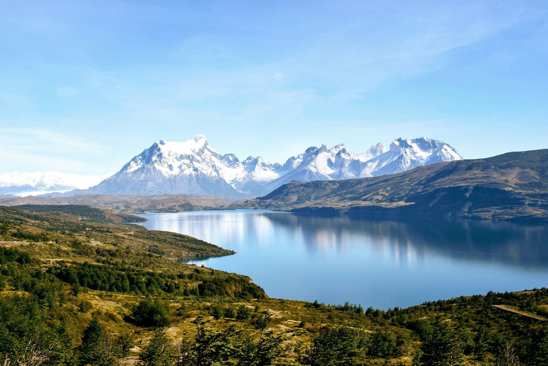 Snow-capped mountains reflect in a calm blue lake, with vegetation in the foreground in Torres del Paine, Chile.