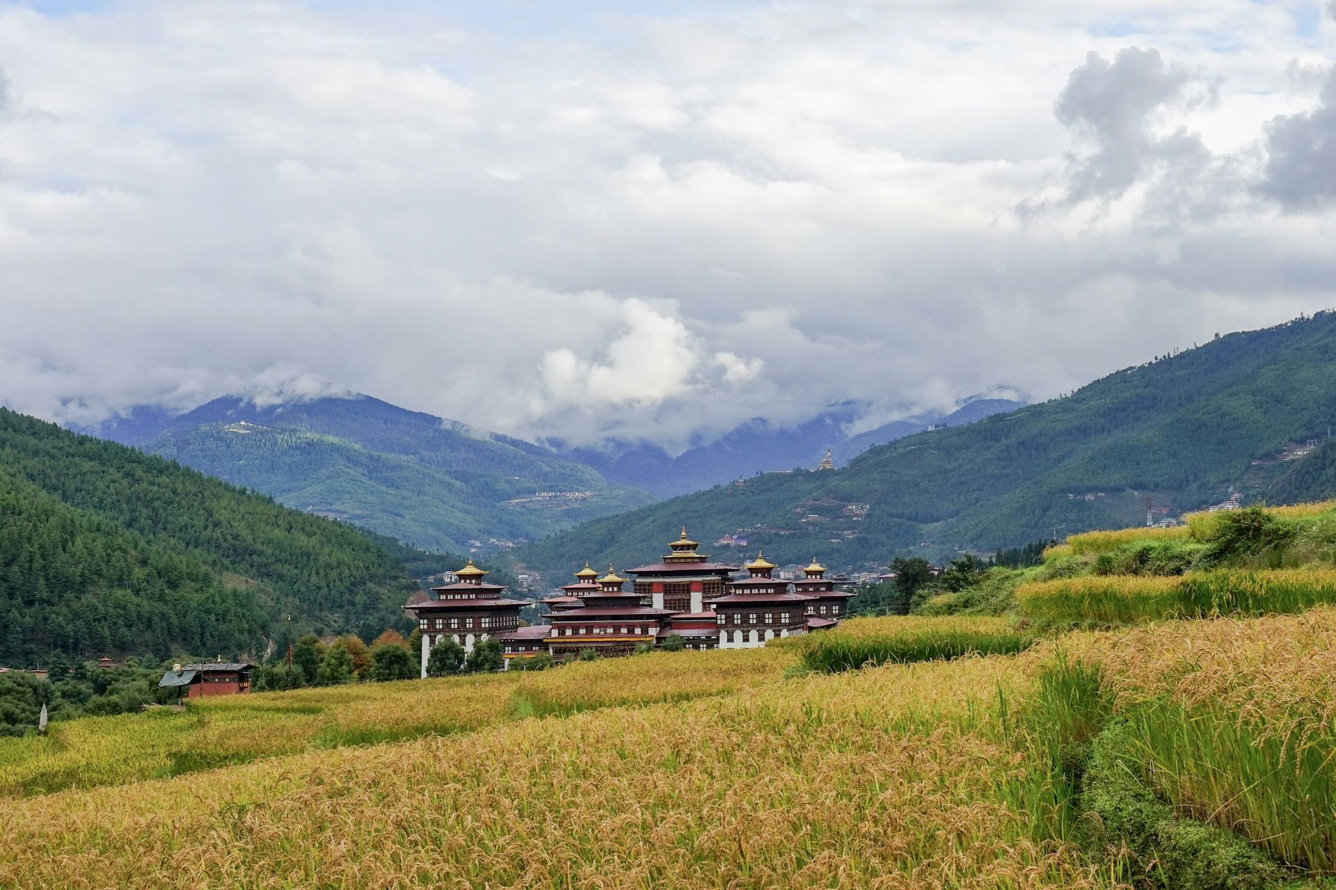 Mountain landscape with a large, ornate building in the valley, surrounded by golden fields in Thimphu, Bhutan.