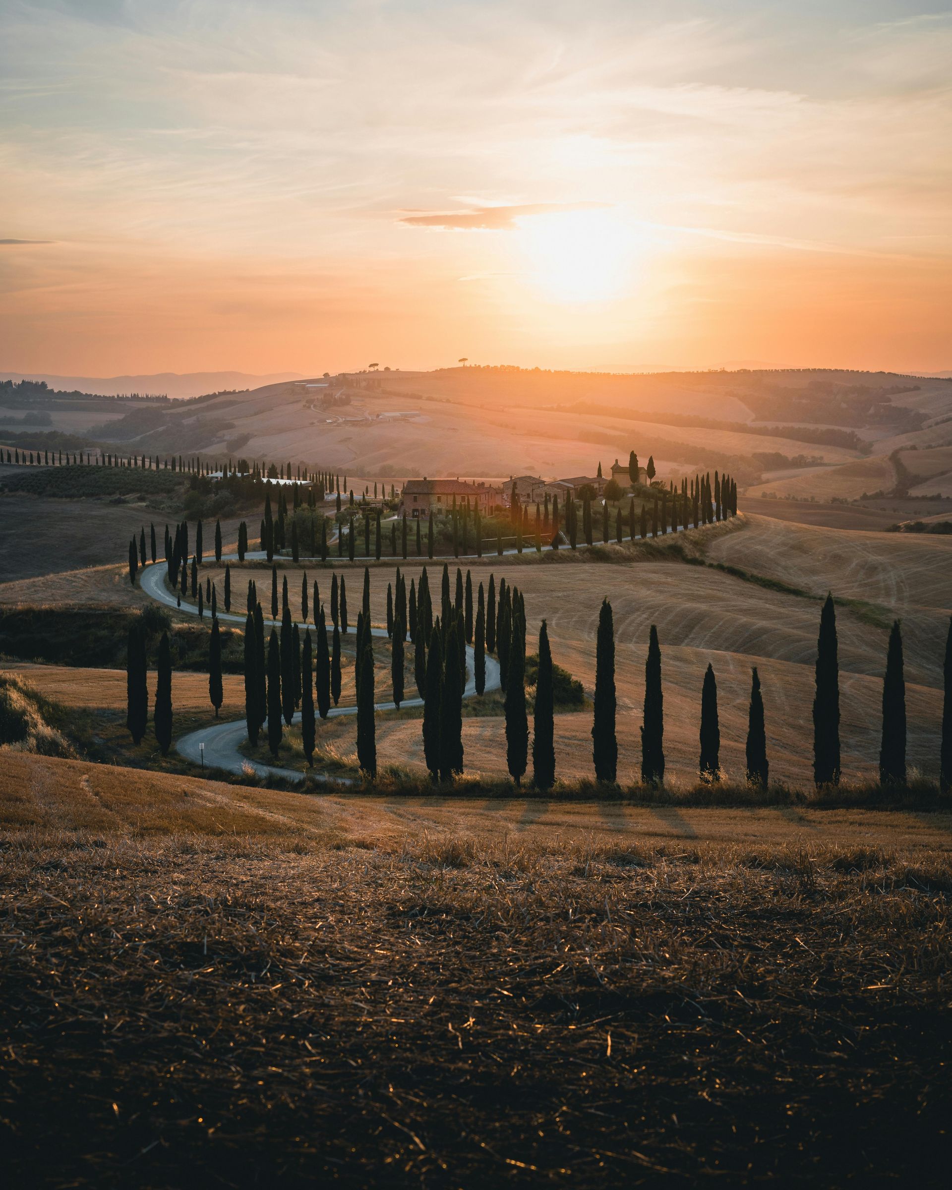 A sunset over a landscape with trees and a road in Asciano, Tuscany.
