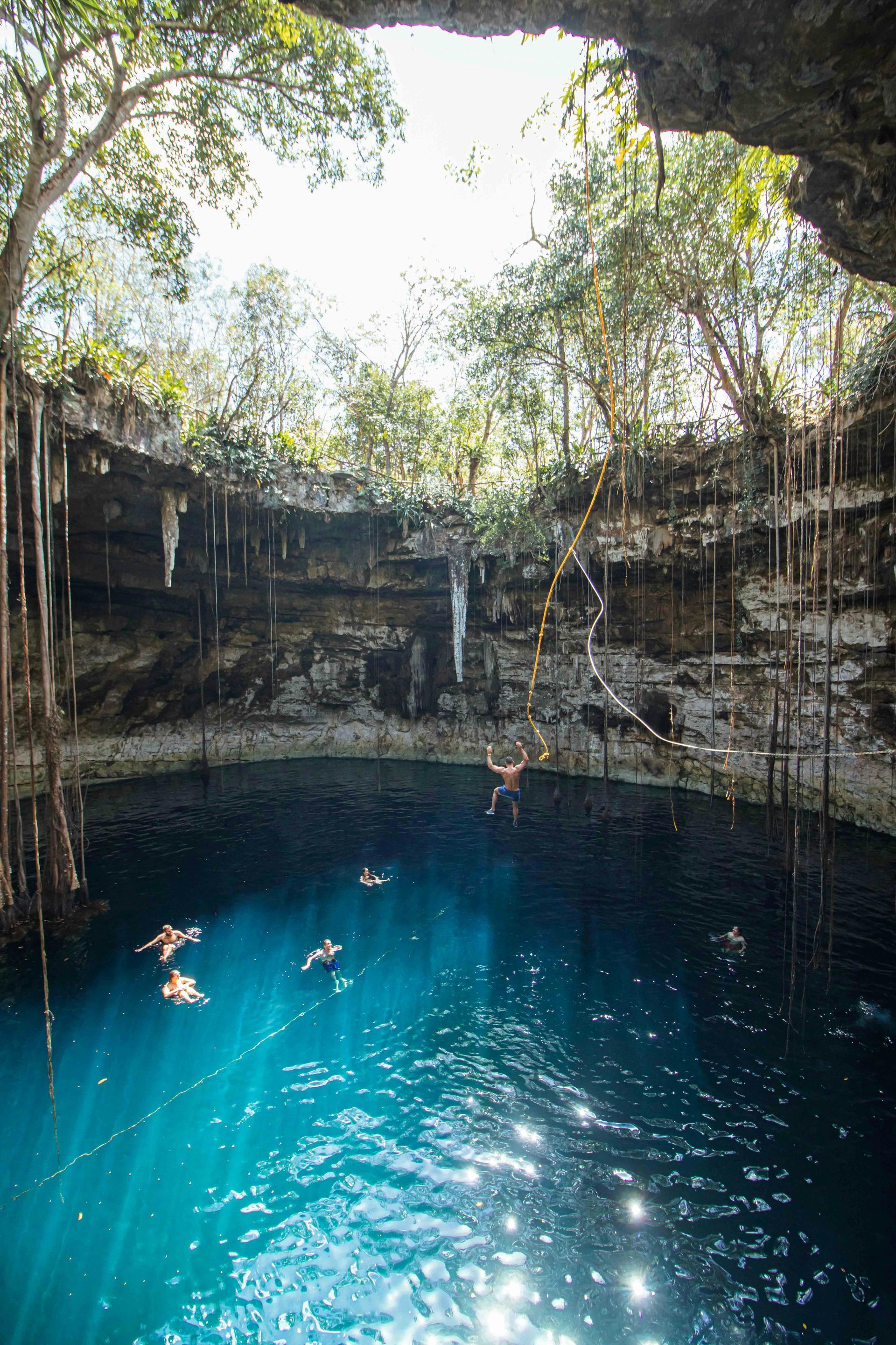 A group of people are swimming in a cenote surrounded by trees in Cancun.