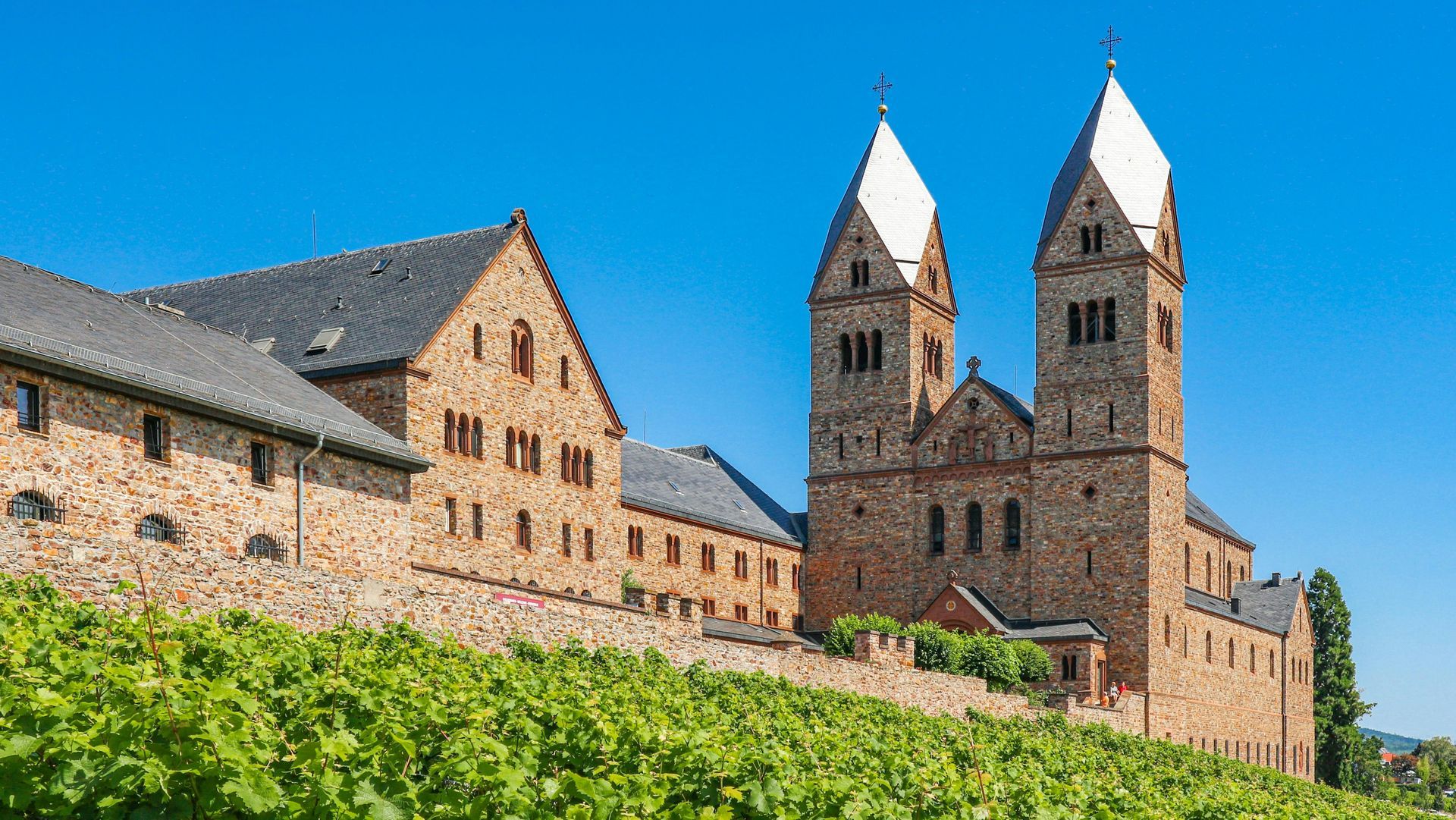 A large stone building with two towers is surrounded by a vineyard in Rudesheim, Germany.