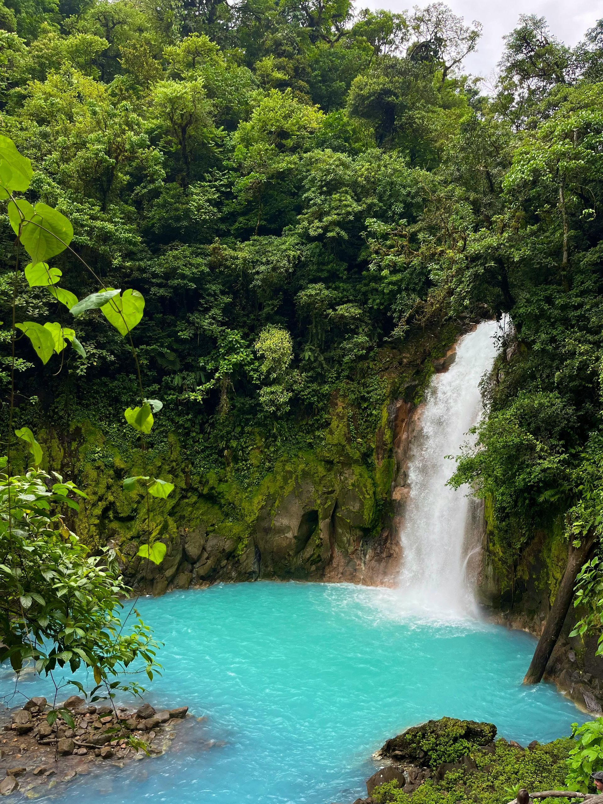 The Catarata Rio Celeste waterfall with a turquoise pool surrounded by lush green rainforest in Rio Celeste, Costa Rica.