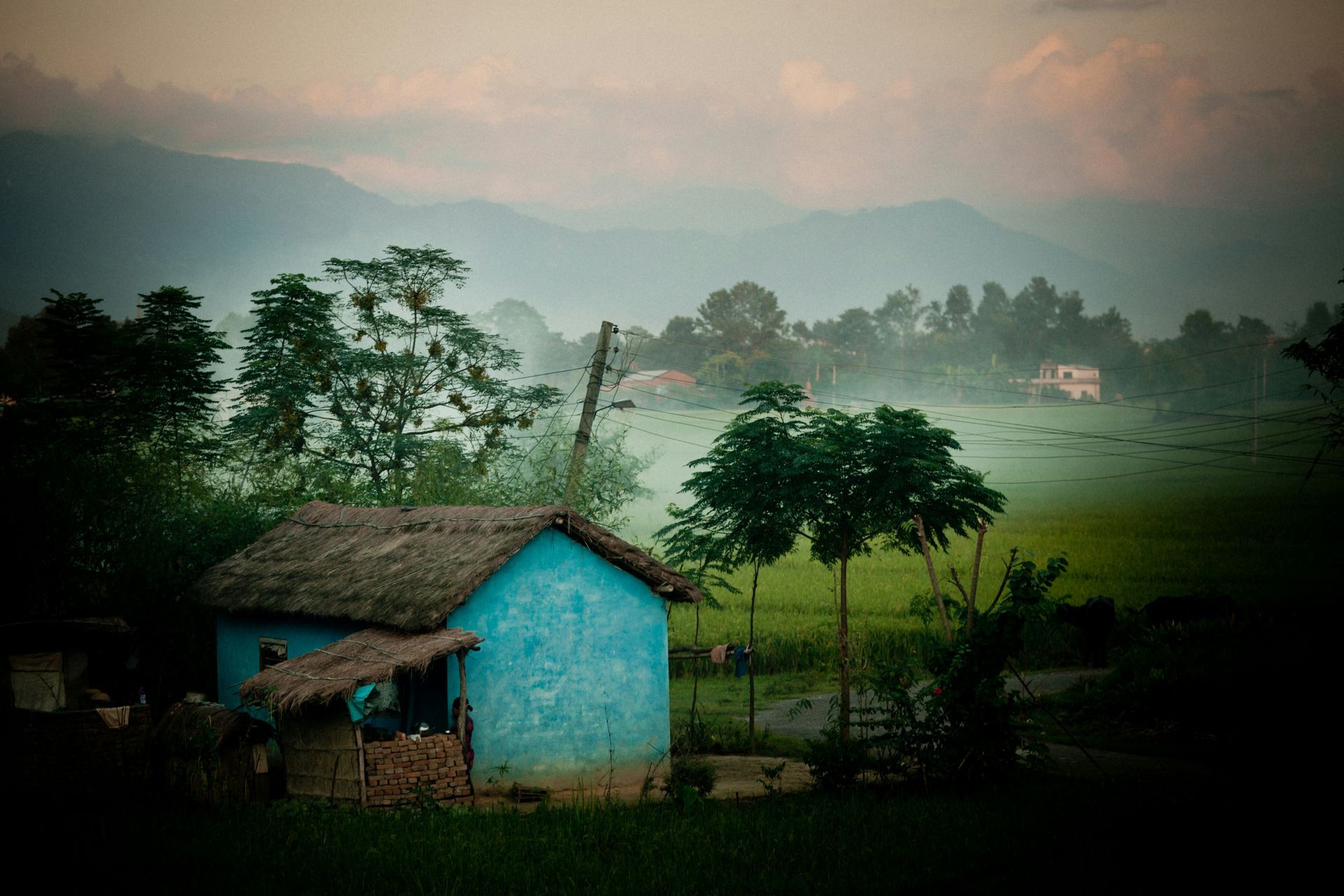 Blue cottage in a green field with misty mountains in the background at Chitwan National Park, Nepal.