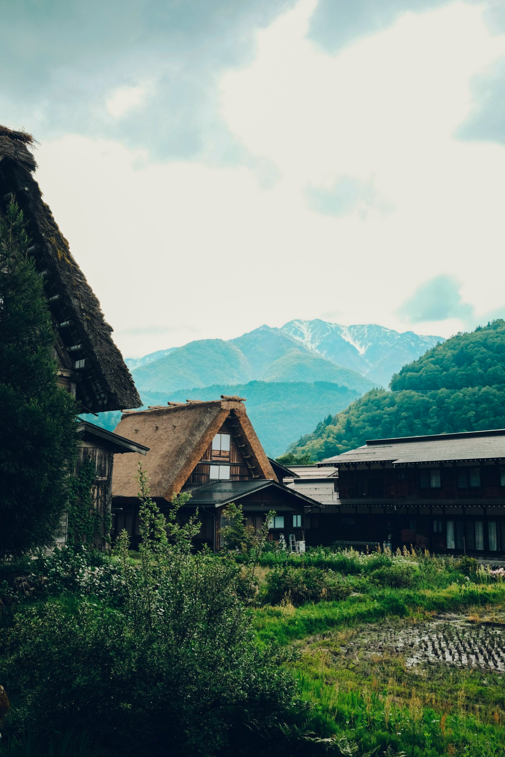 Thatched-roof houses in a valley, with mountains in the background in Shirakawa, Japan.