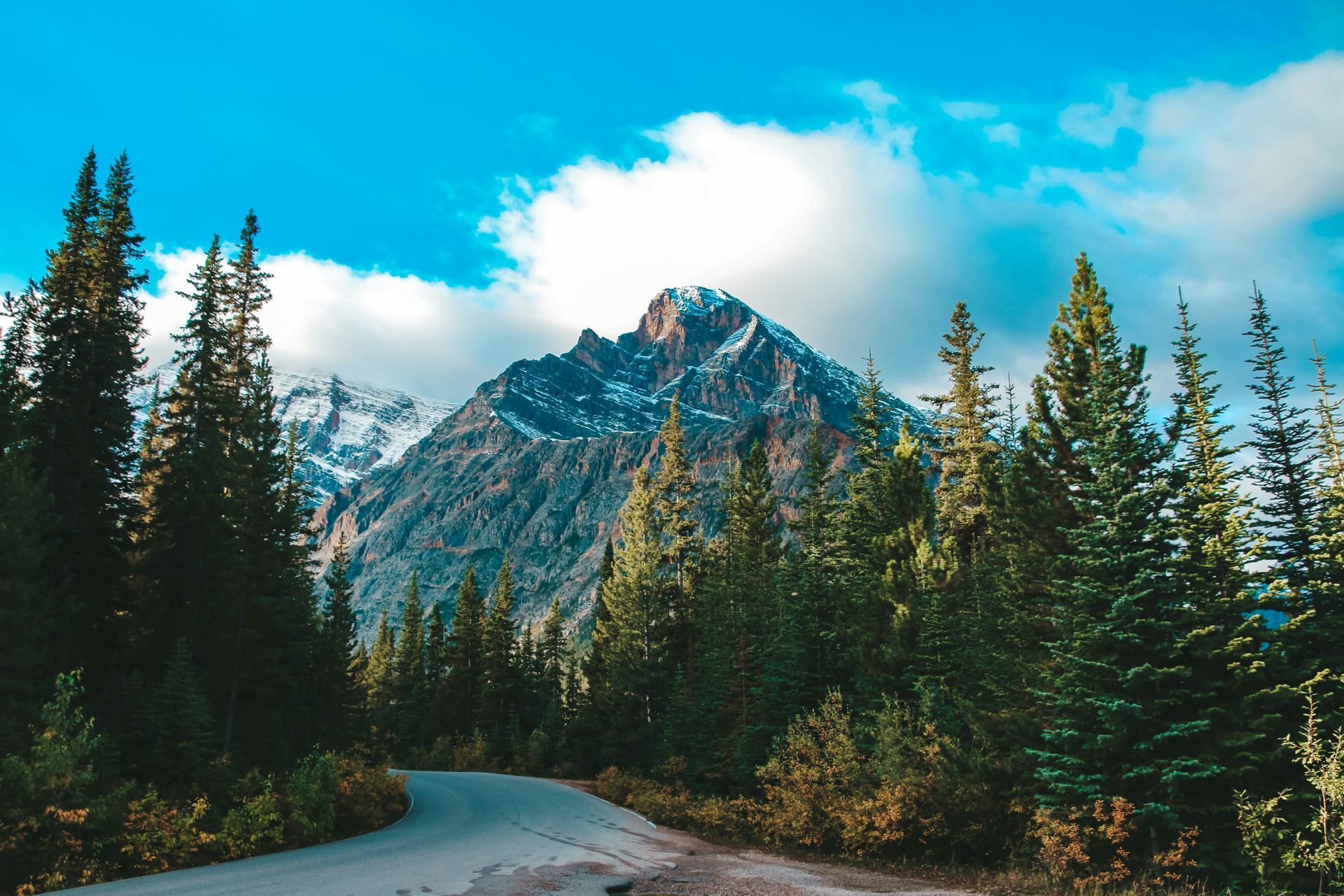 A road going through a forest with a mountain in the background in Jasper National Park, Canada.