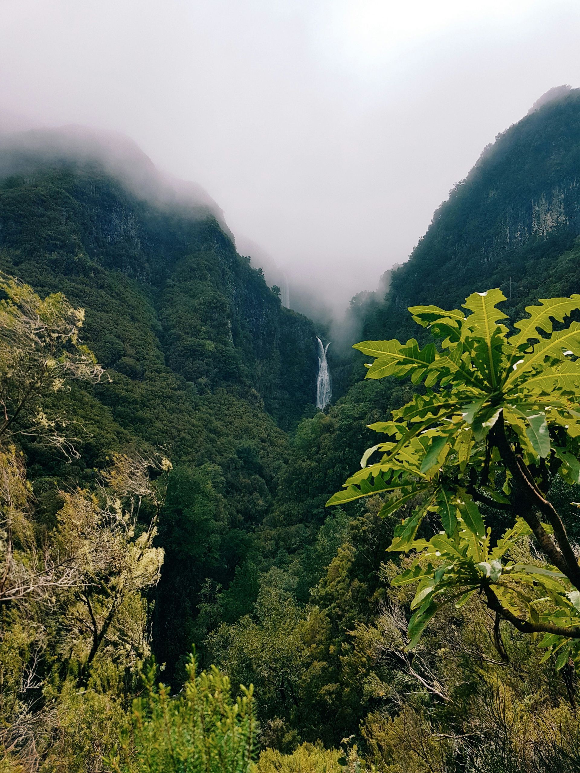 Waterfall cascading down a lush, green mountain valley shrouded in mist on the island of Madeira, Portugal.