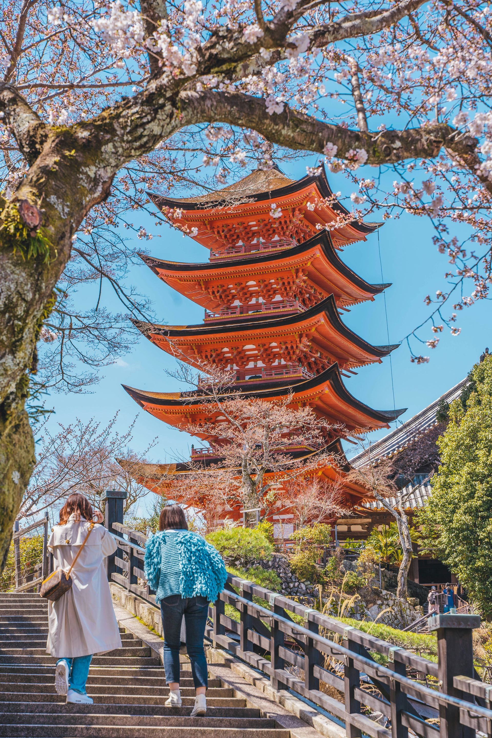 Two people ascend steps toward a vibrant red pagoda framed by cherry blossoms in Hiroshima, Japan.