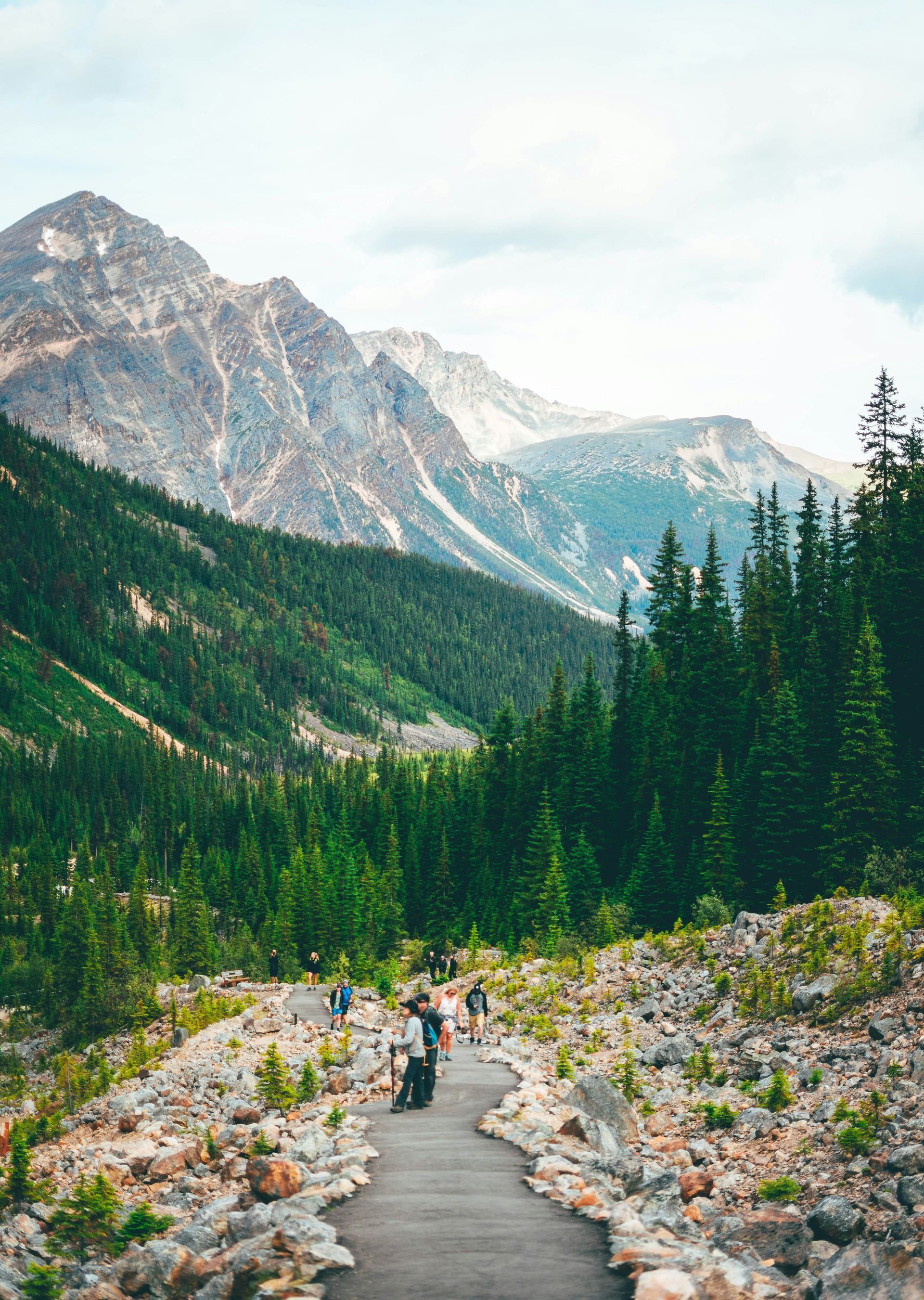 A hiking trail winds through a mountain valley, flanked by green trees and rocky terrain in Jasper, Canada. 