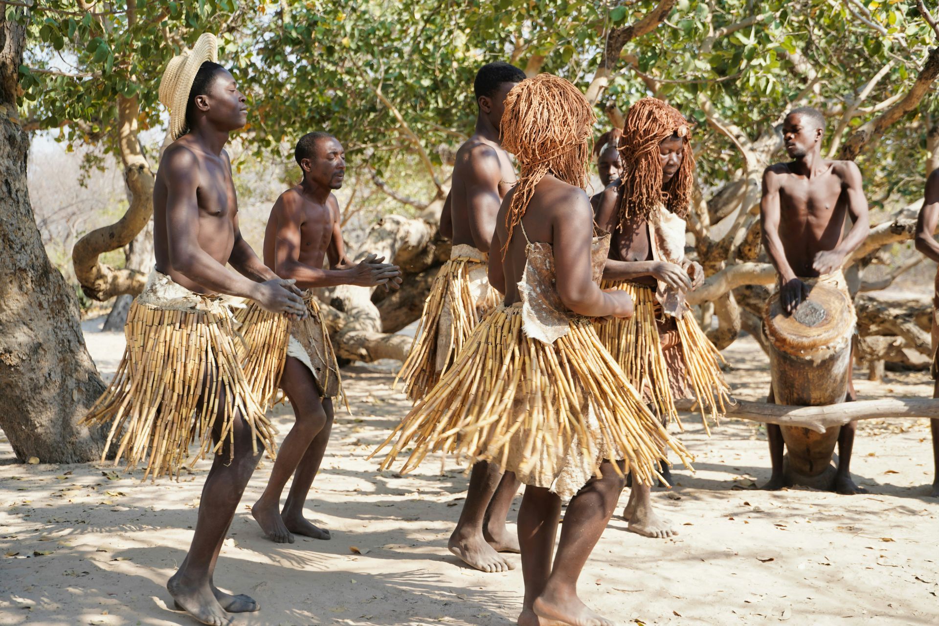 People in traditional attire dancing outdoors, with drums and natural setting in Botswana.