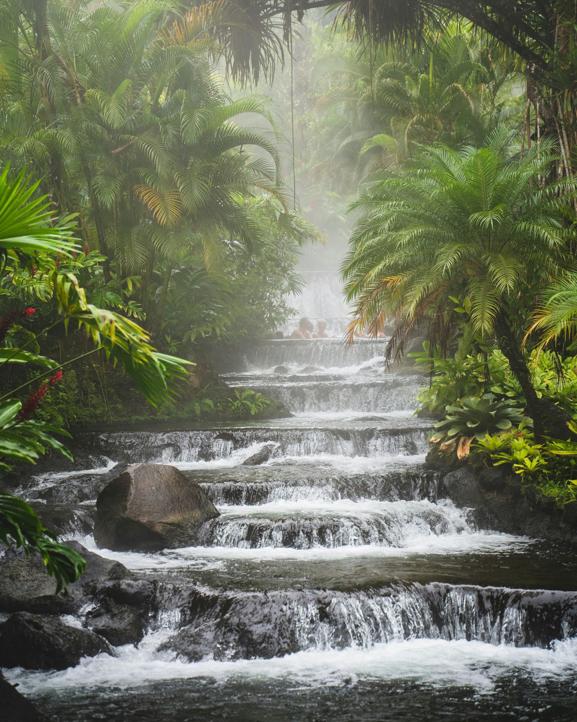 A cascading waterfall flows down a series of rocky steps in a lush, green rainforest at the Tabacon Hot Springs, Costa Rica.