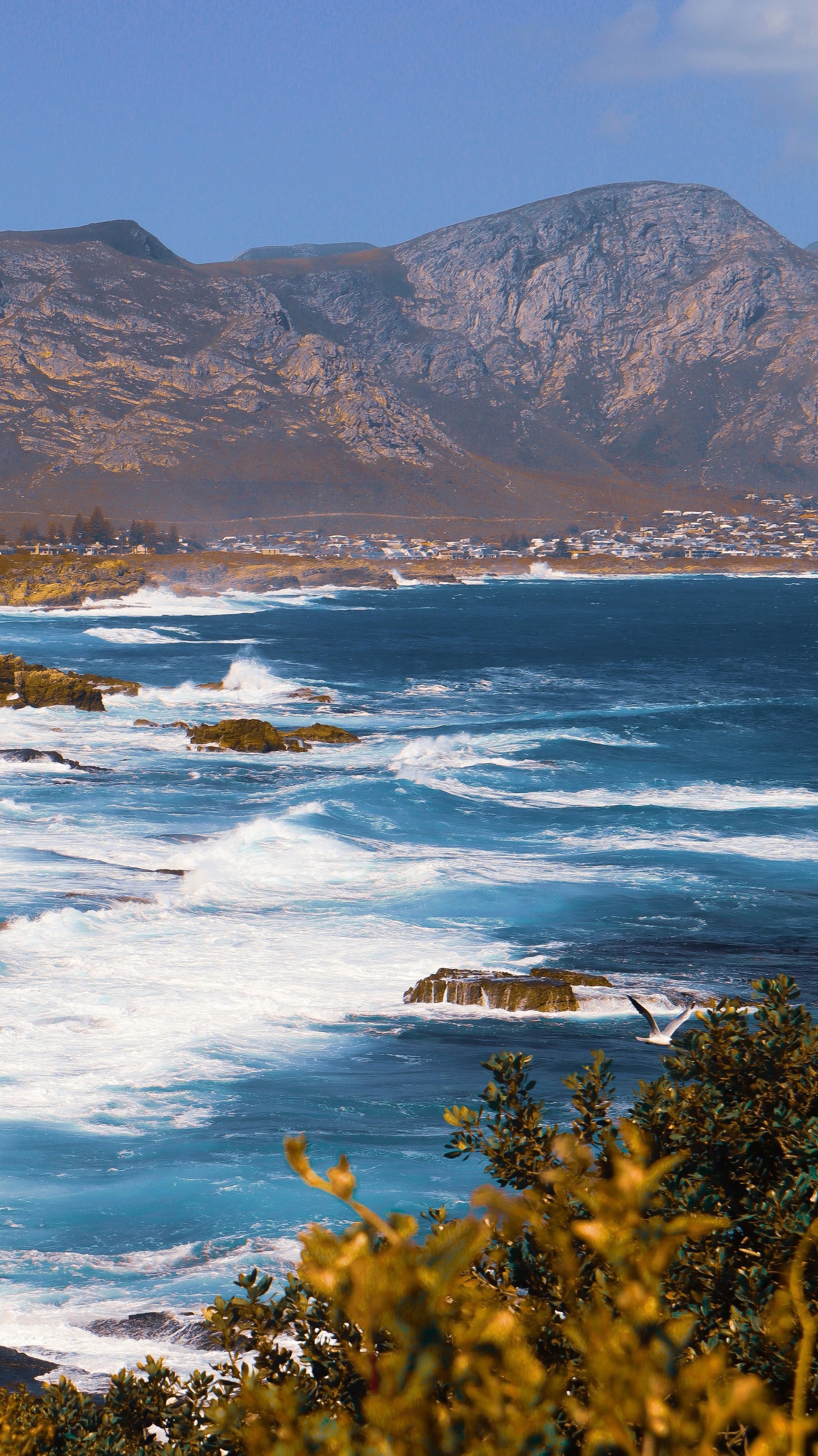 Waves crash against rocky coastline, mountains in background, blue ocean, yellow shrubbery in Hermanus, South Africa.