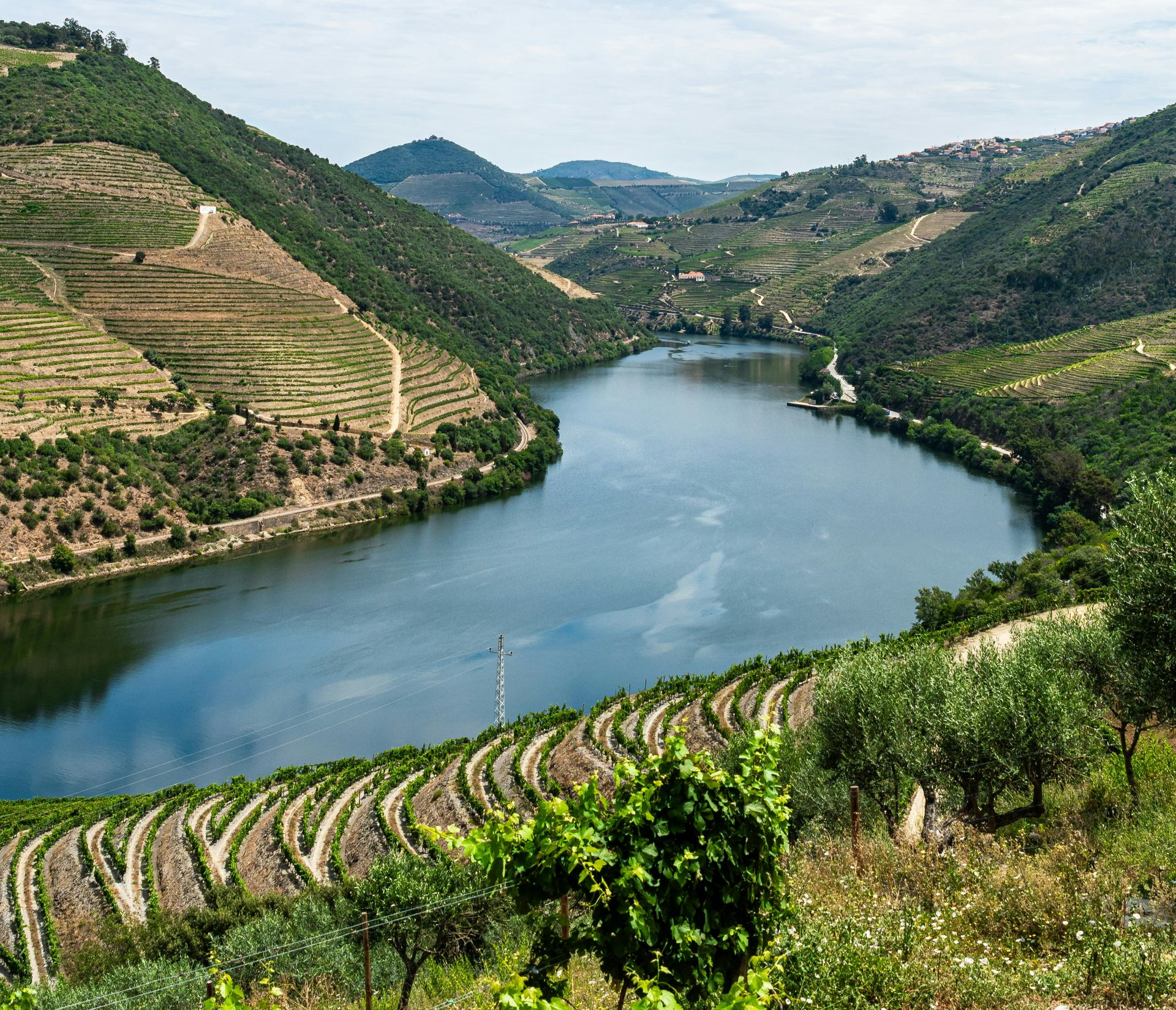 Vineyards on terraced hills overlooking the Douro River winding through a valley in Portugal.