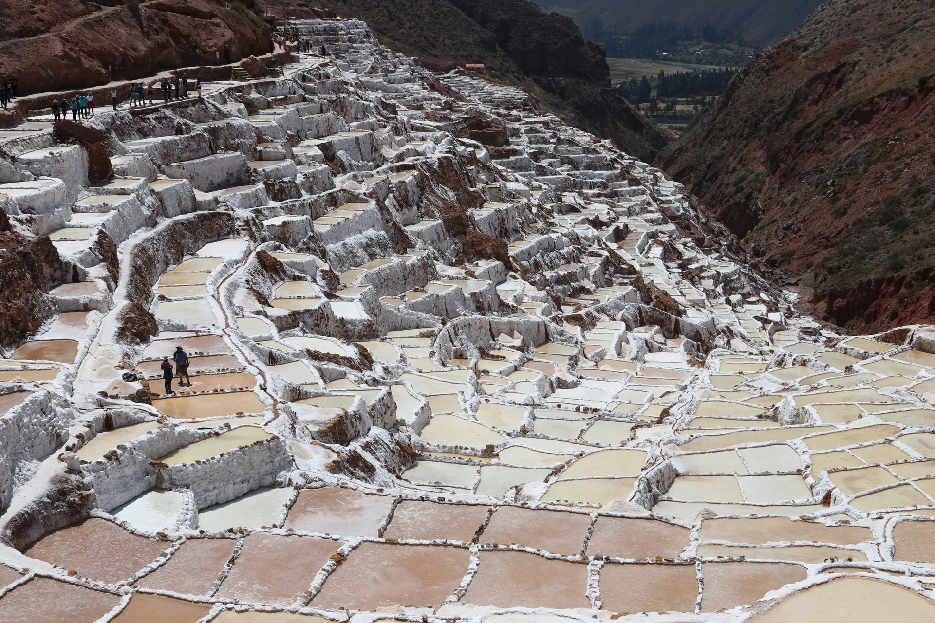 A group of people standing on a hillside of the Maras Salt Mines in Peru.