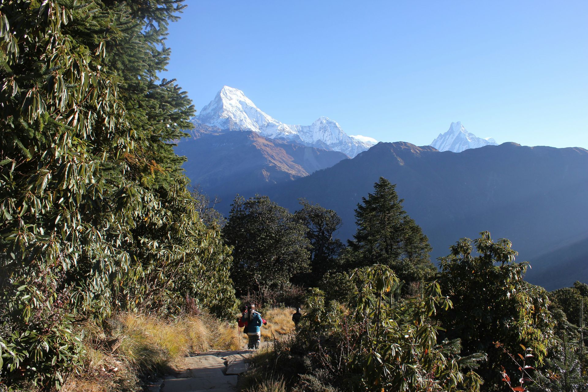 Hiking trail with person in view, mountains in the background in Langtang, Nepal.