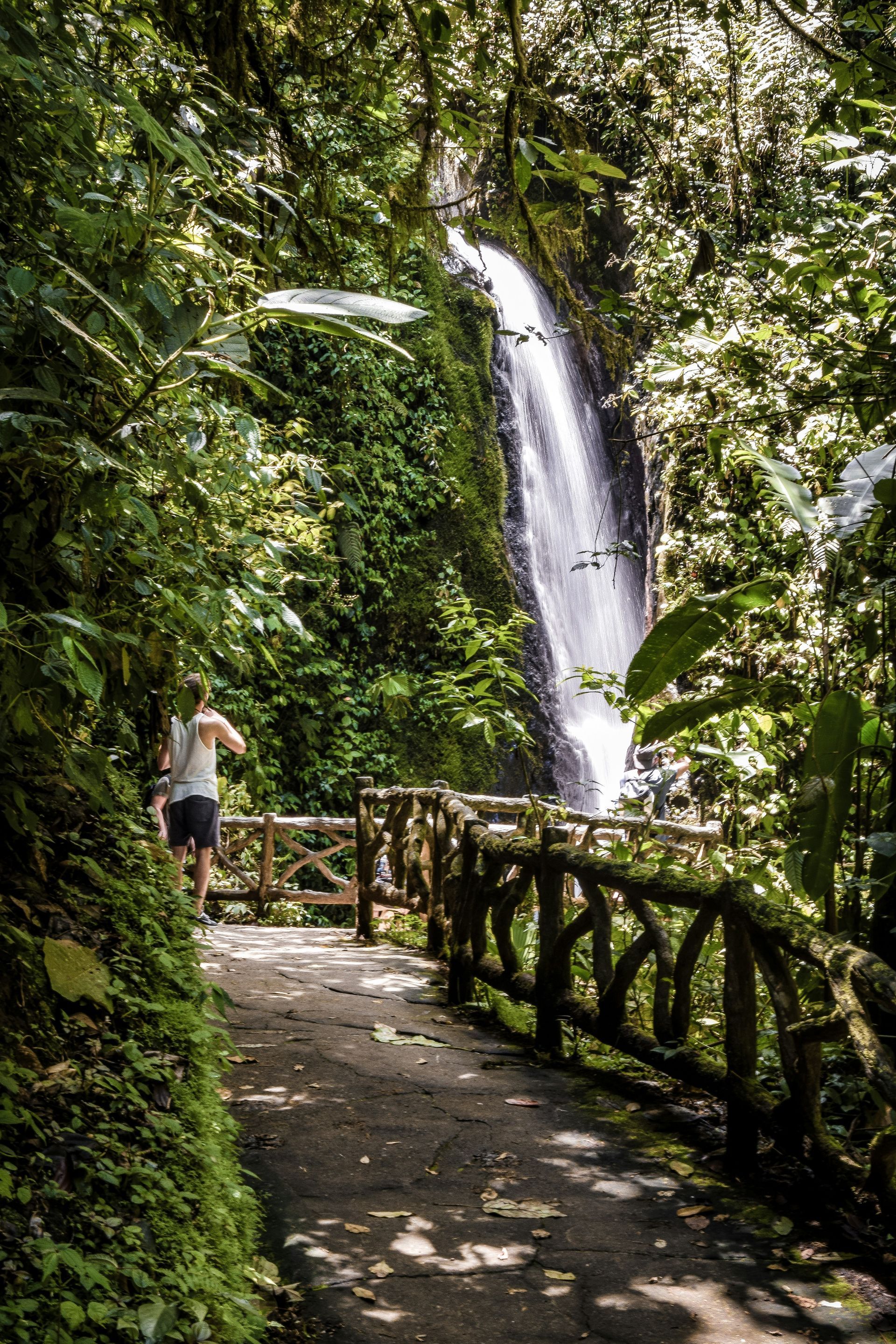 A waterfall along a wooden-railed path in a lush green rainforest at Parque Nacional Volcán Arenal, Costa Rica.