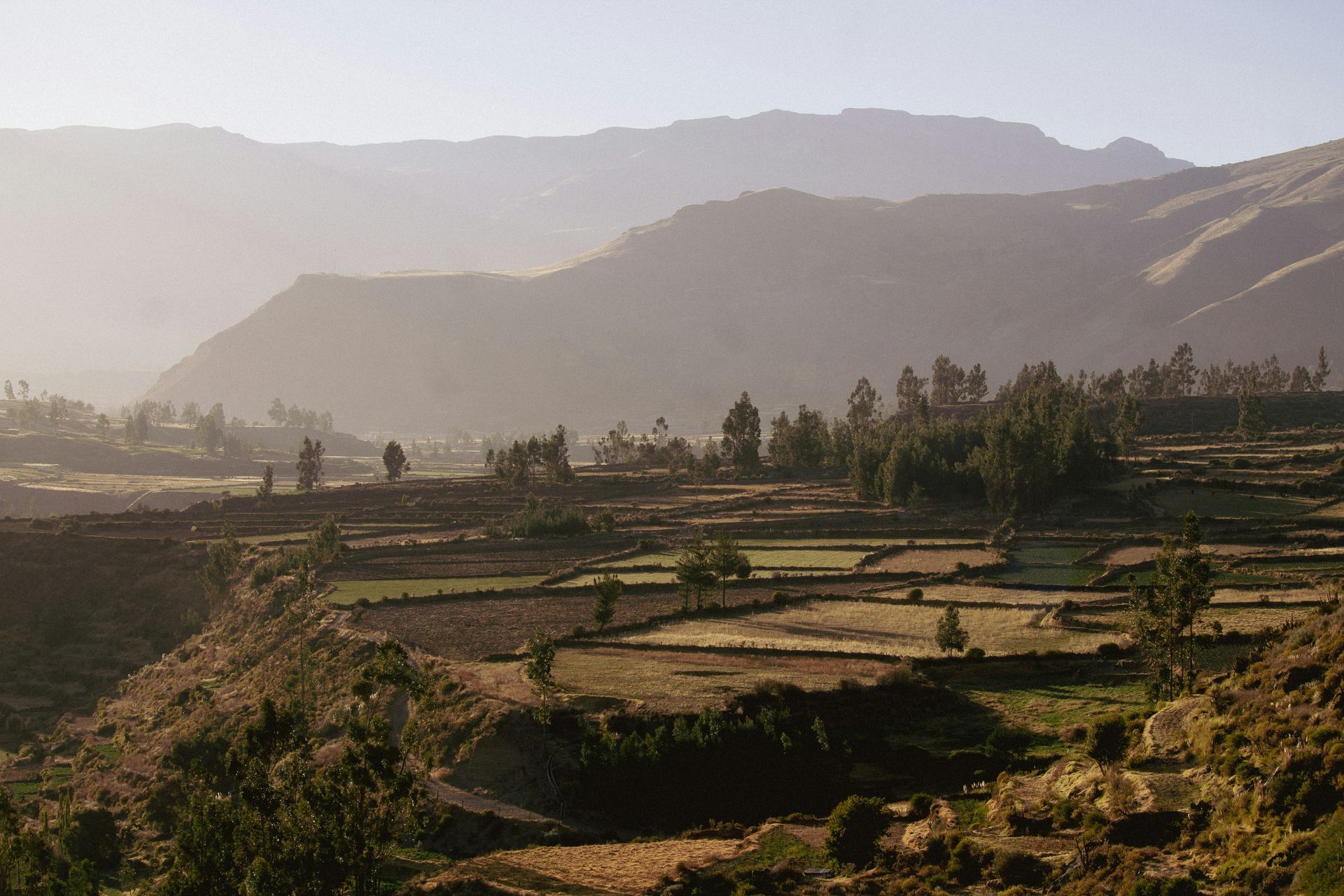A valley with mountains in the background and fields in the foreground in the Colca Canyon, Peru.