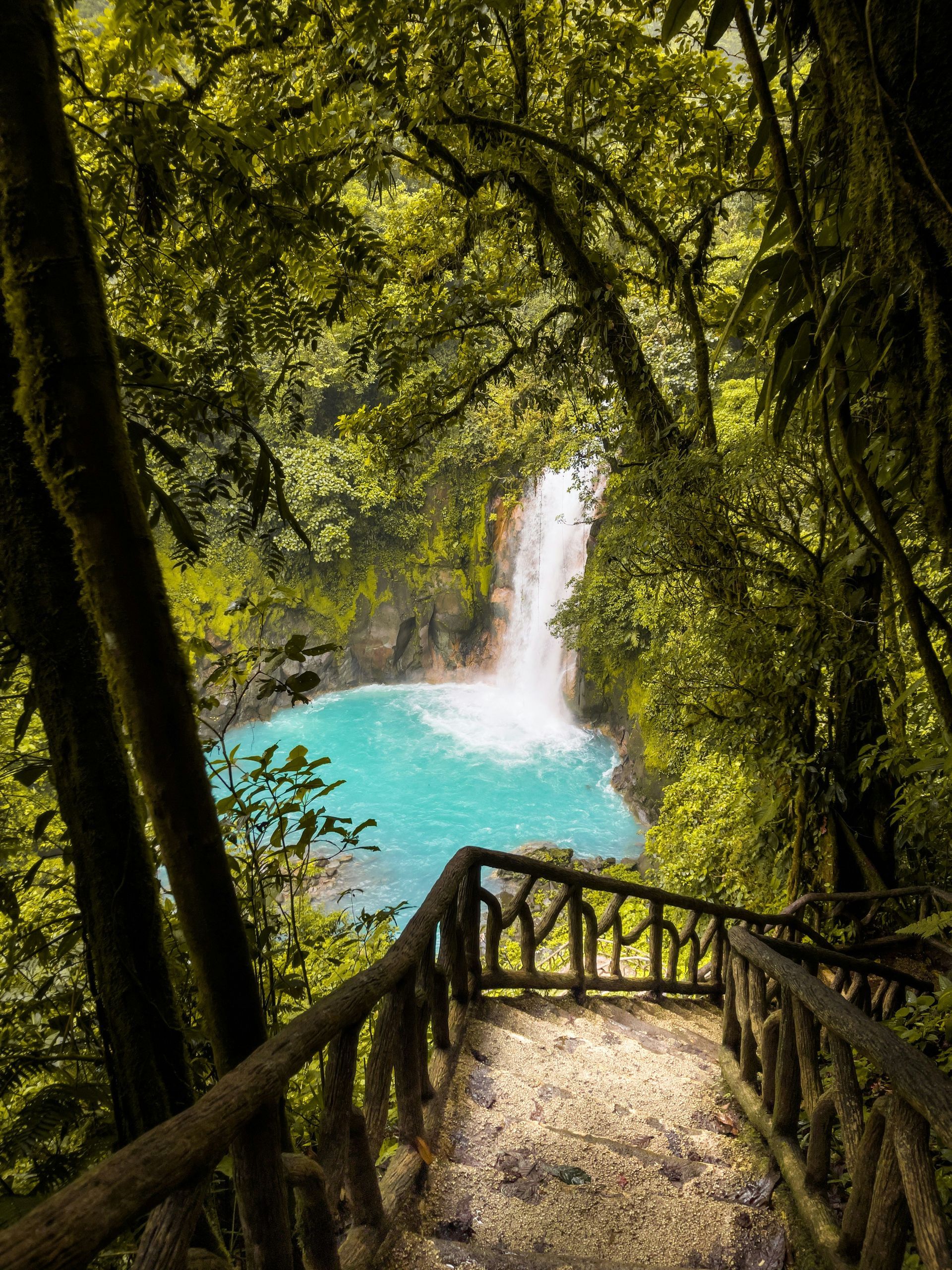 Steps lead to a cascading waterfall with a turquoise pool in a lush green forest in Rio Celeste, Costa Rica.