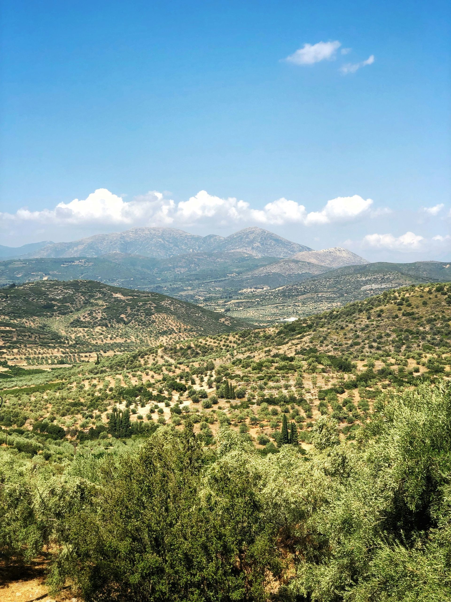 A landscape with mountains in the background and trees in the foreground in Mycenae, Greece. 