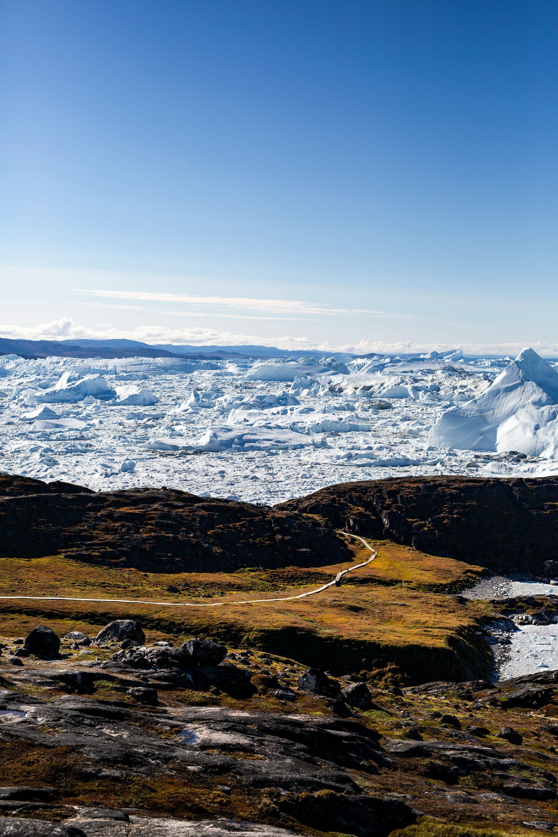 Barren landscape with brown and yellow vegetation overlooks a sea of icebergs at the Ilulissat Icefjord, Greenland.