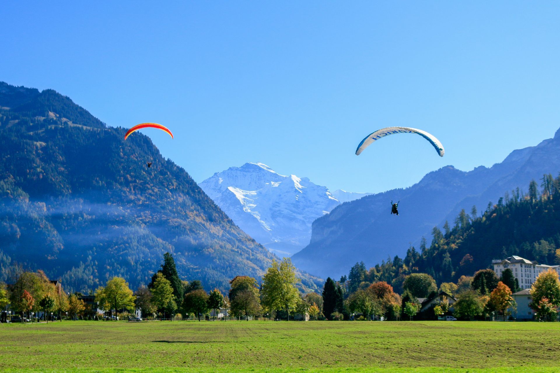 Two paragliders soar over a green field with mountains in the background under a blue sky in Interlaken, Switzerland.