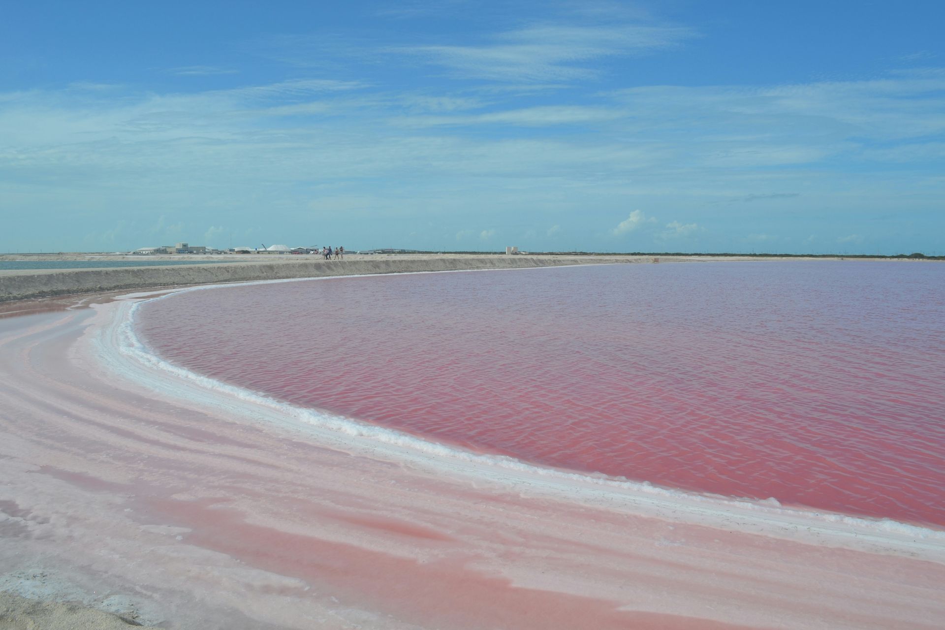 A large body of pink water with a blue sky in the background at Los Colorodas in Mexico.