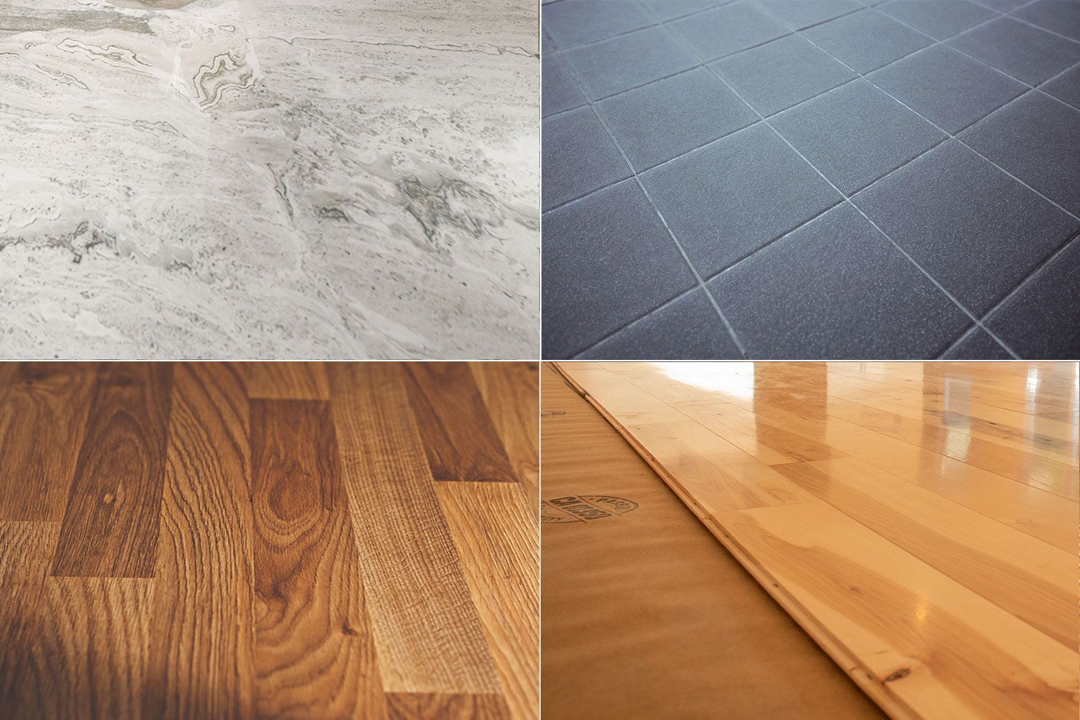 Modern rental home featuring luxury vinyl plank flooring in the main living area and neutral carpet 