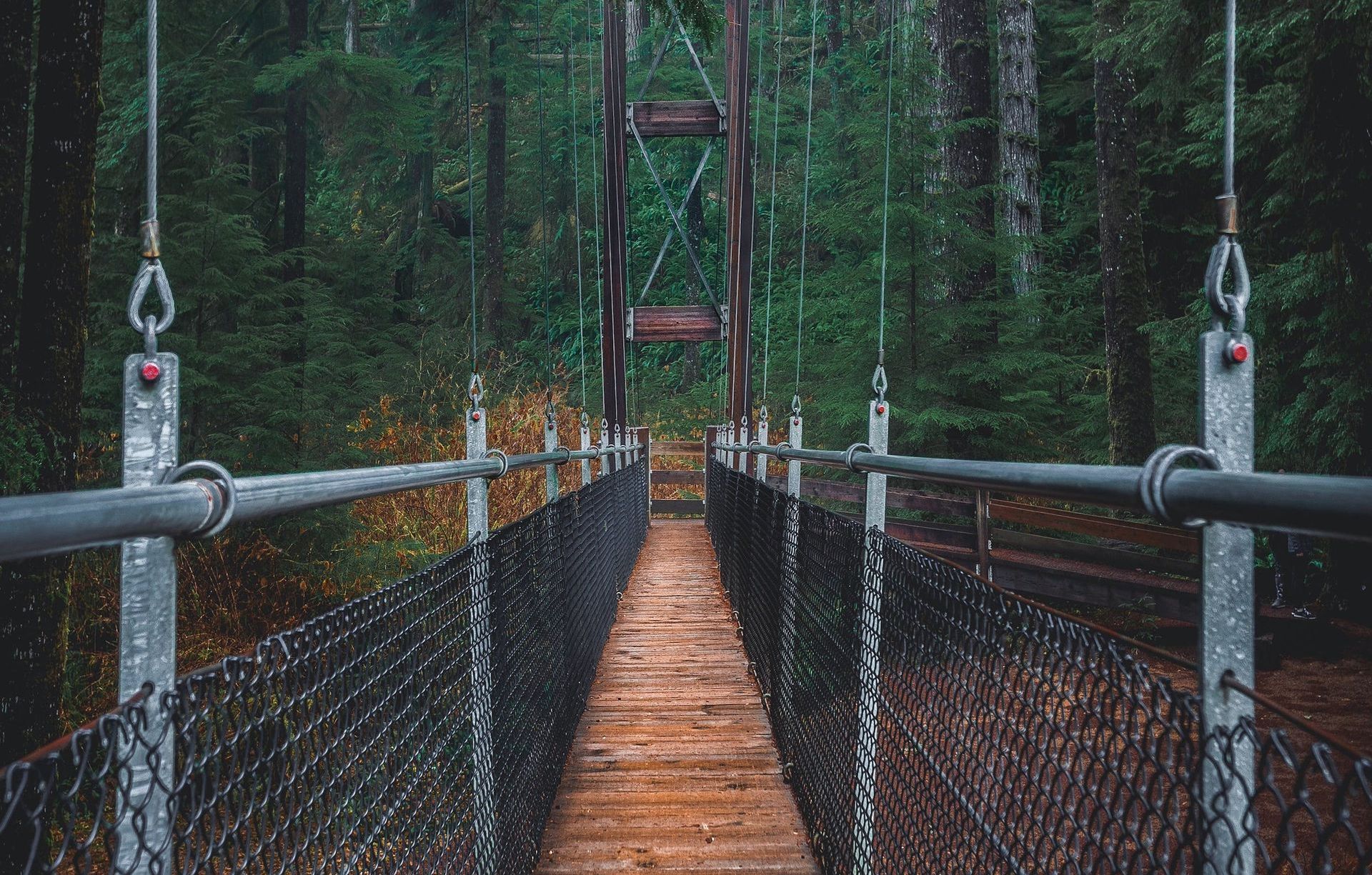 A wooden suspension bridge in the middle of a forest.