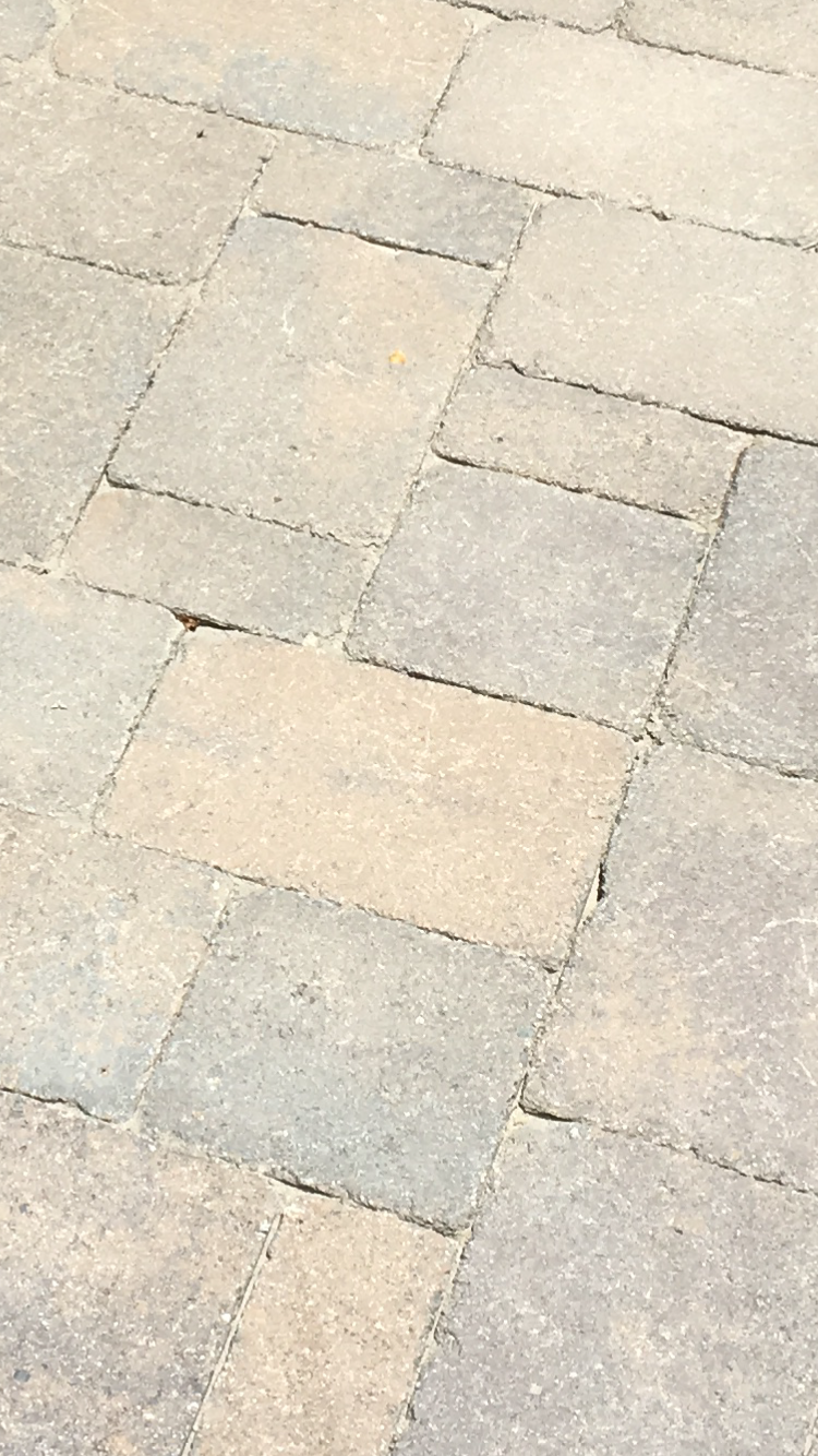 A close up of a brick walkway with a diagonal pattern.