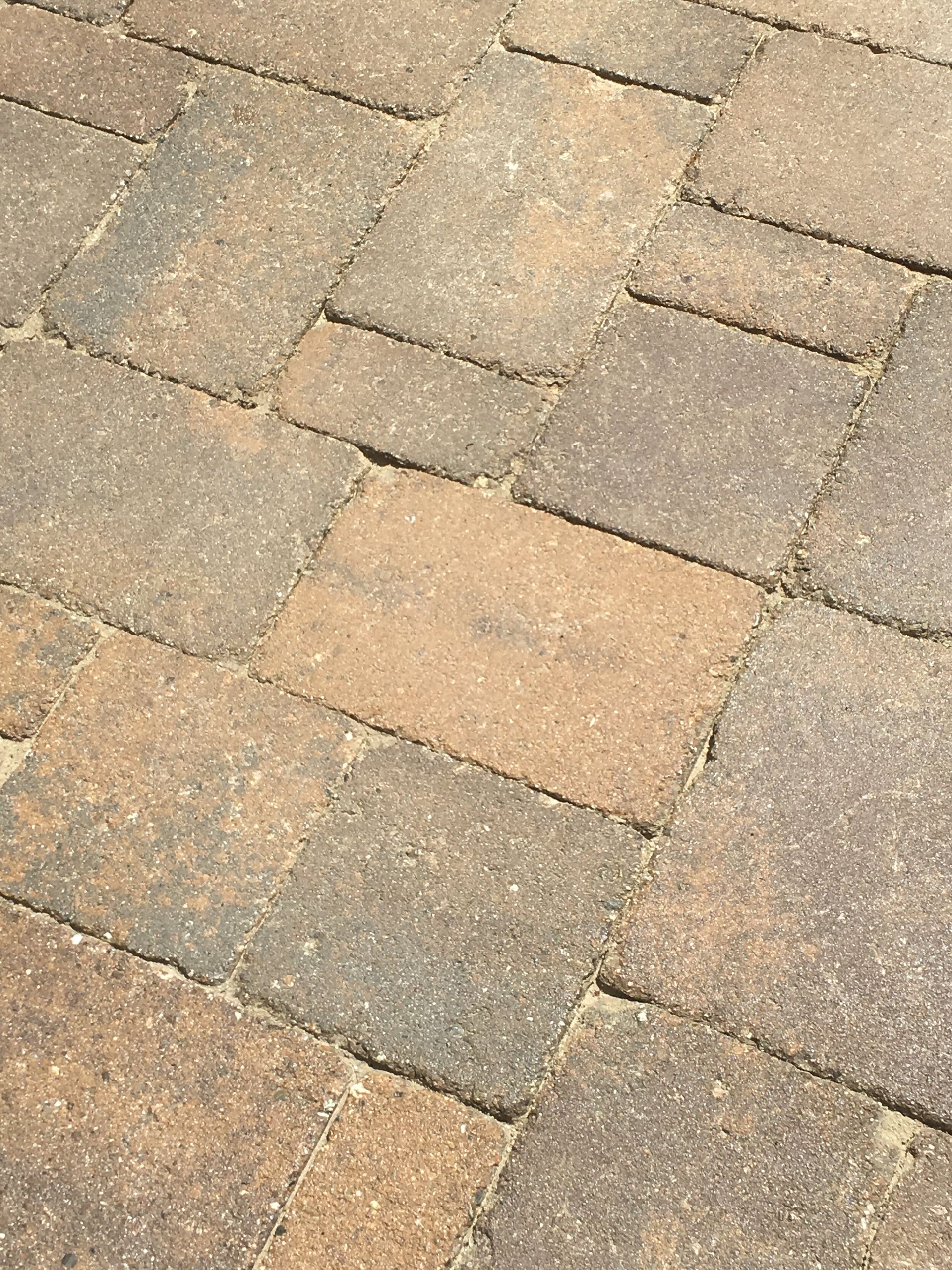 A close up of a brick pavement with a few bricks missing.