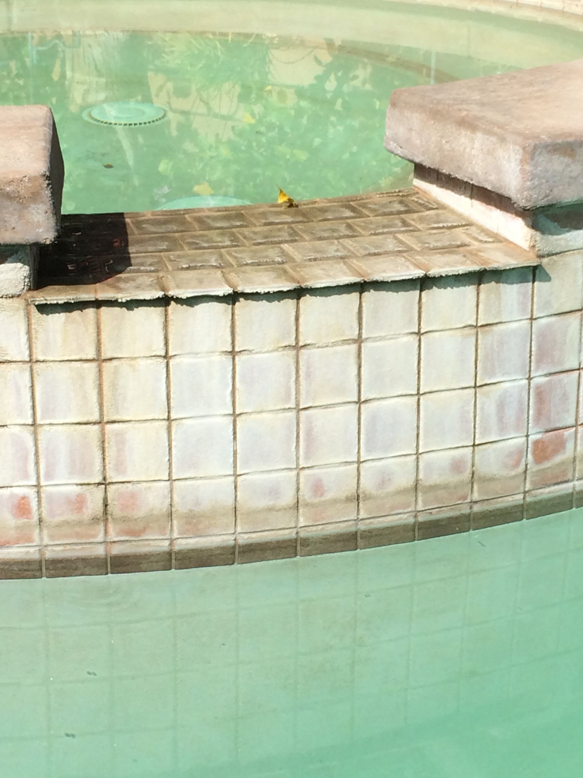 A swimming pool with a brick border and a stone ledge