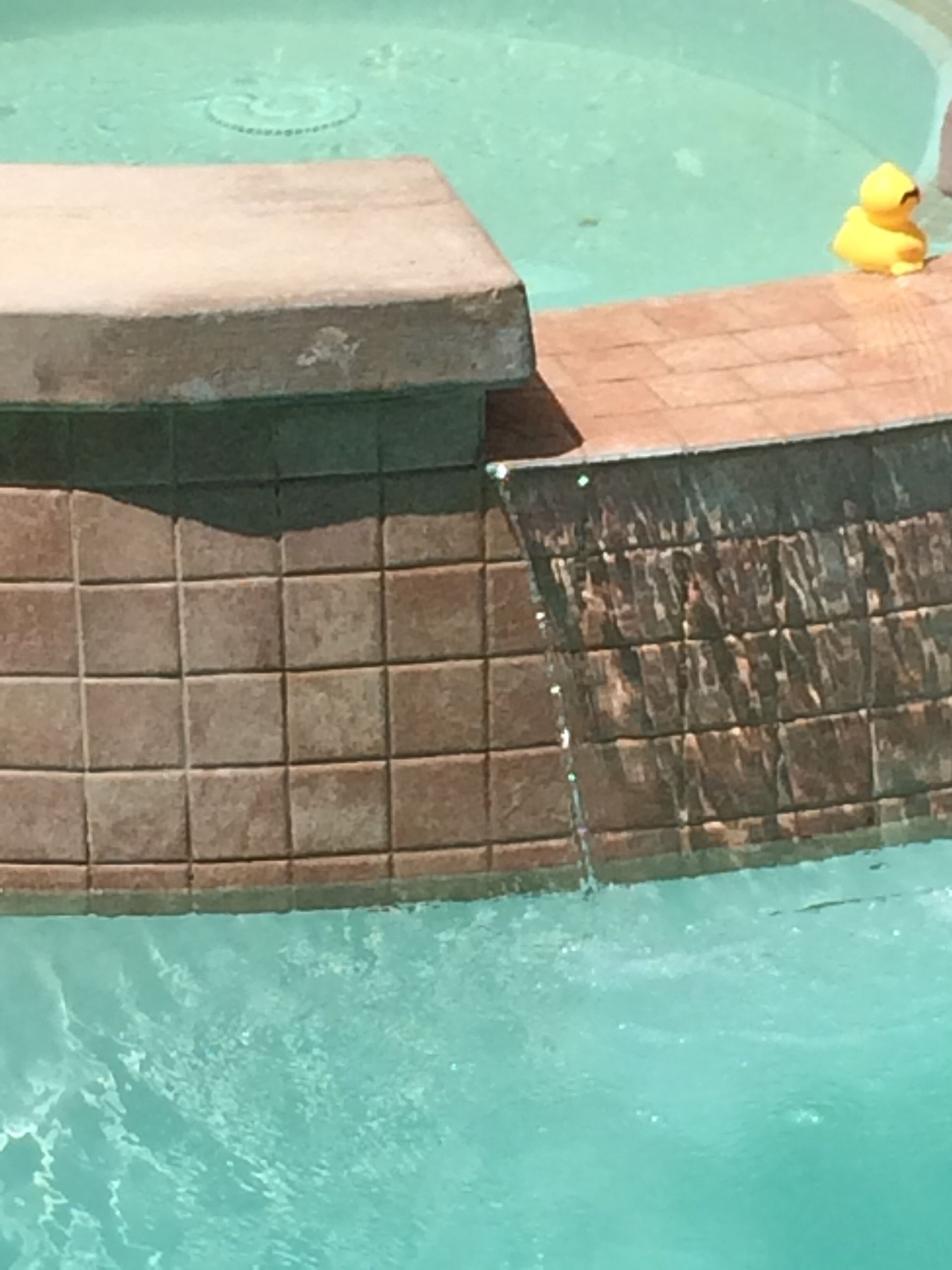A duck is floating in a swimming pool next to a waterfall.