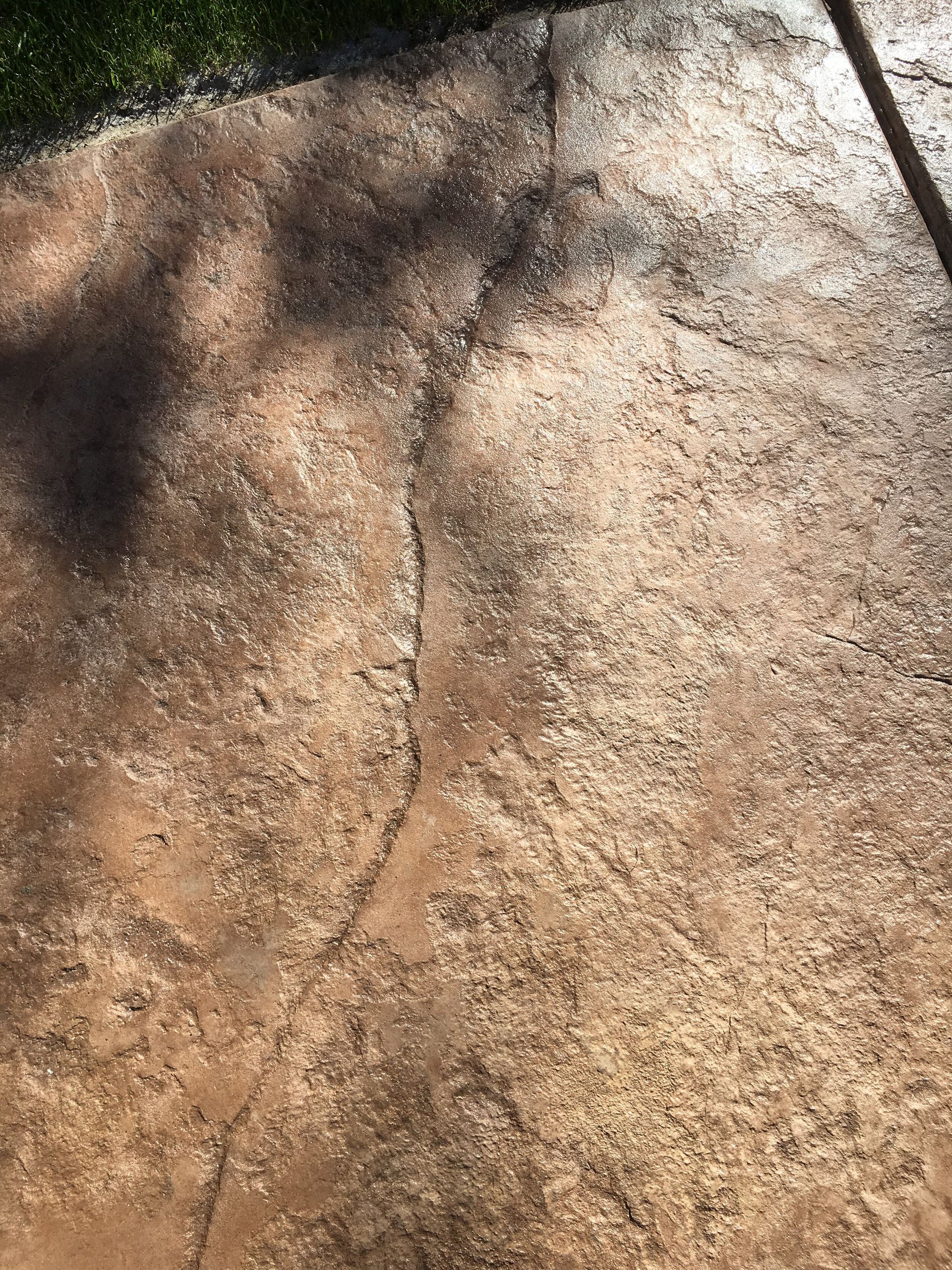 A close up of a concrete surface with a shadow of a tree on it.