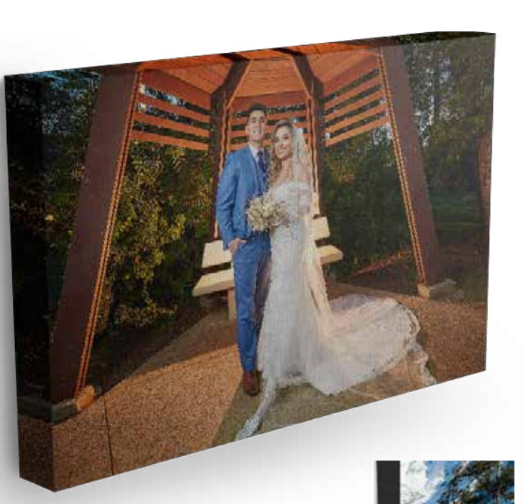 24x36 Canvas