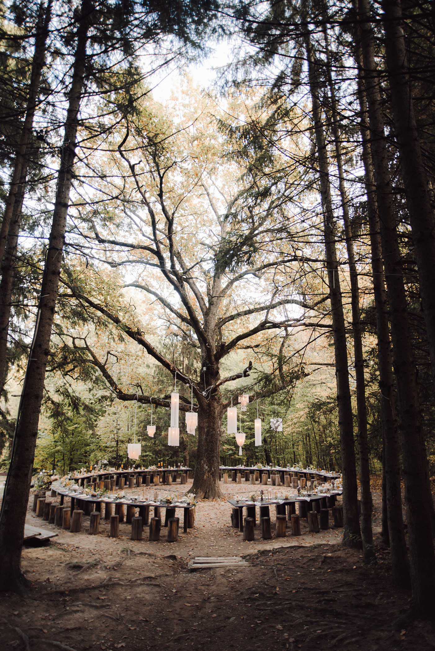 blog weddingplanners international
