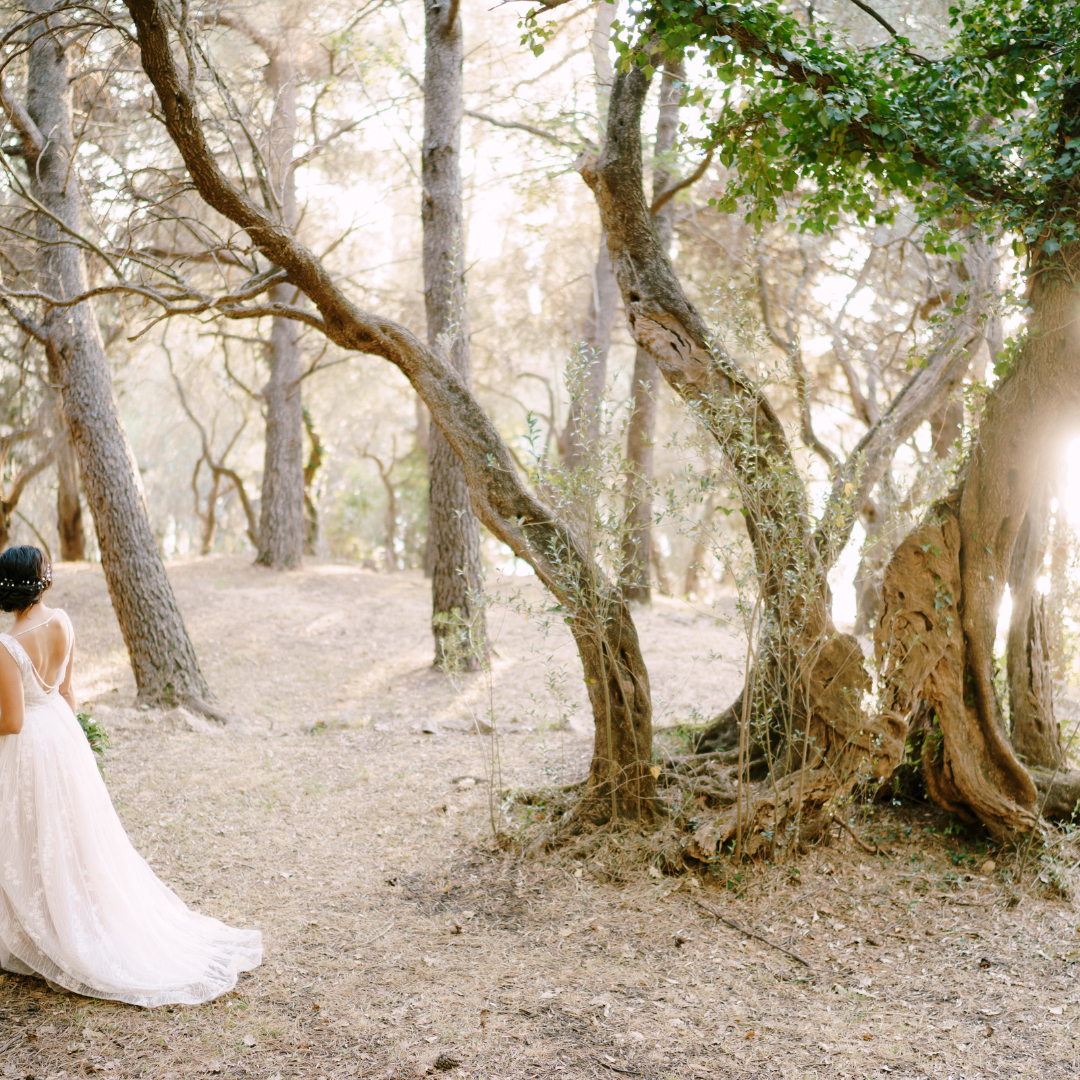 blog weddingplanners international