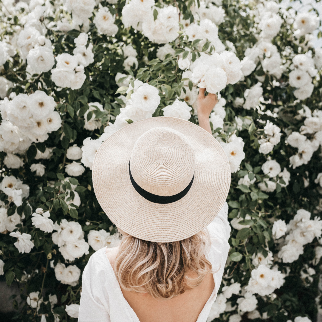 Stories to share Weddingplanners International