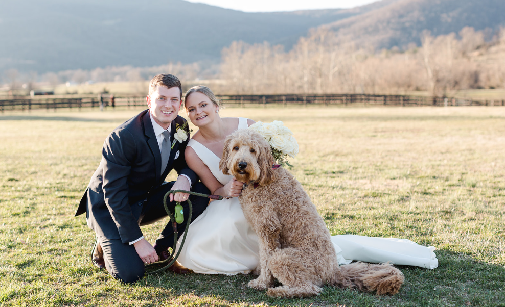 A couple in wedding attire kneels in a grassy field with their golden doodle dog, with mountains in the background.