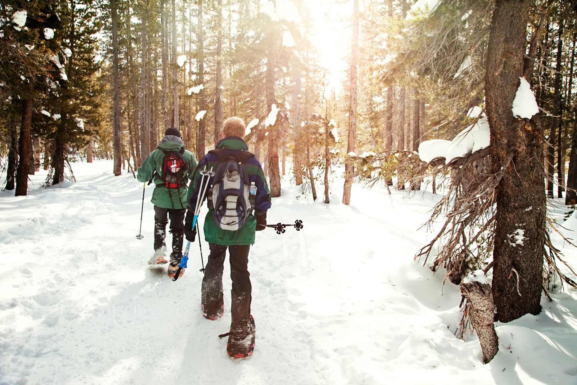 two people are snowshoeing through a snowy forest .