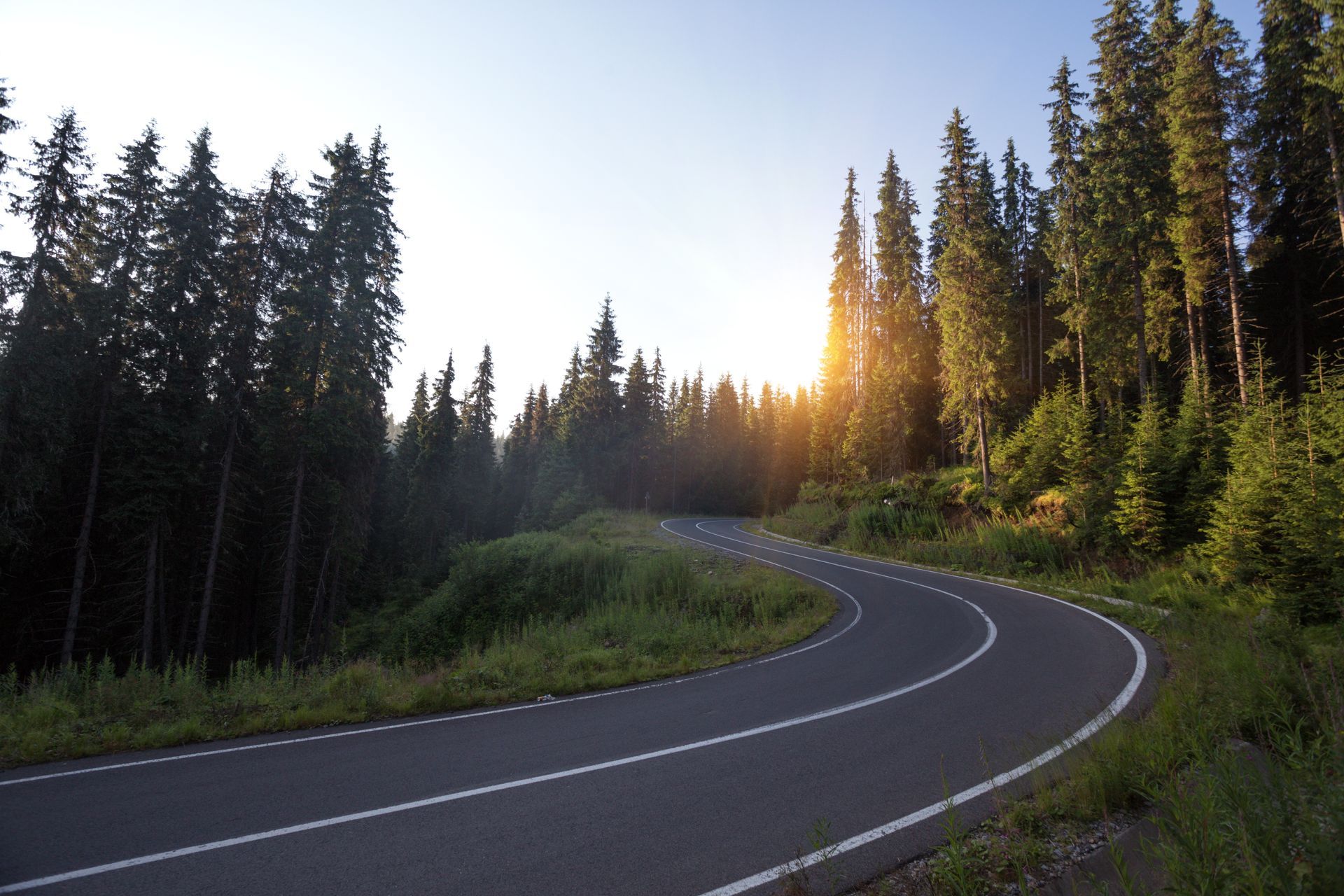 a road that is going through a forest with the sun shining through the trees