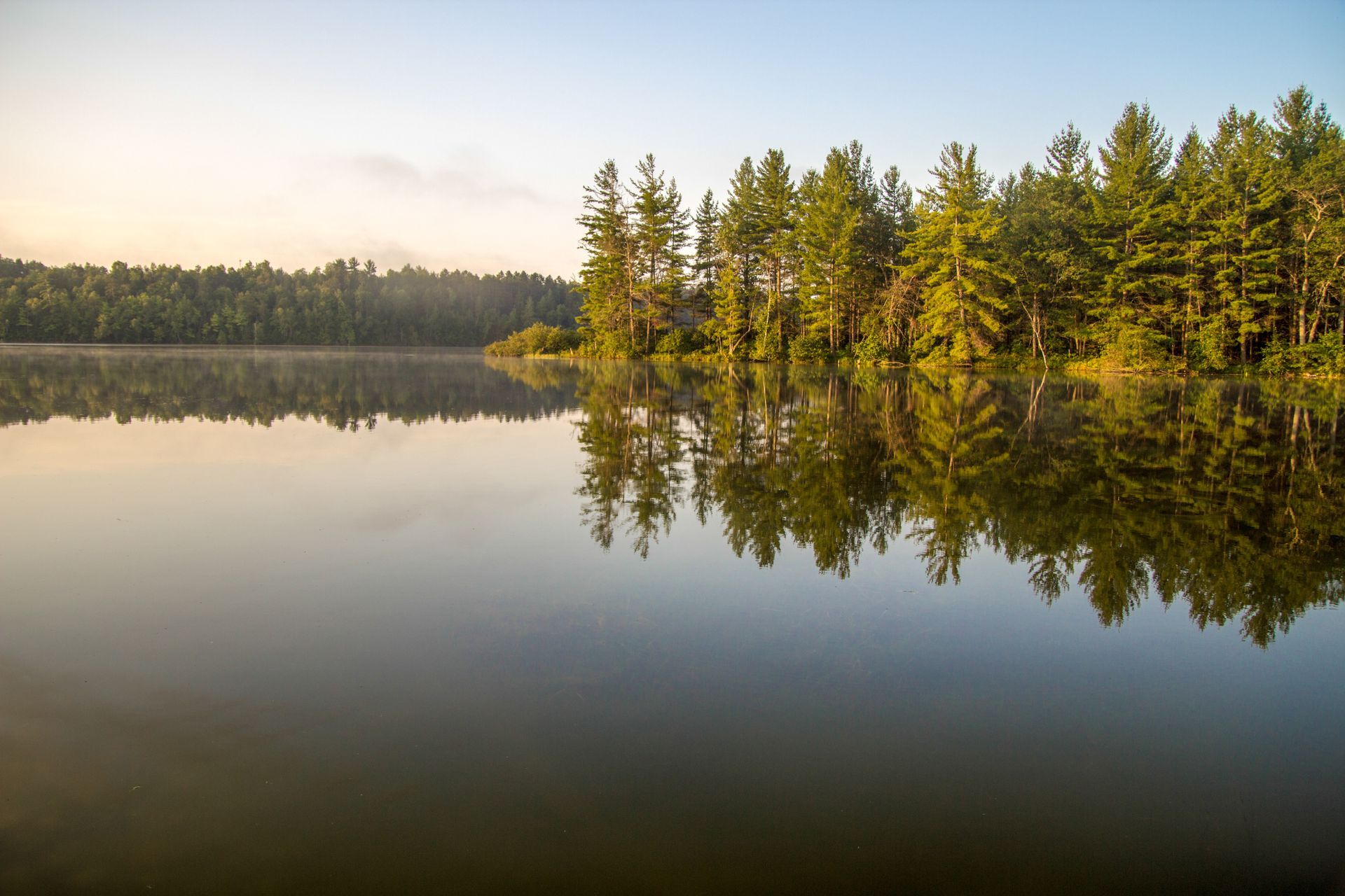 a lake with trees on the shore and trees reflected in the water .