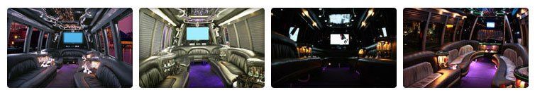 wedding party bus wedding party bus