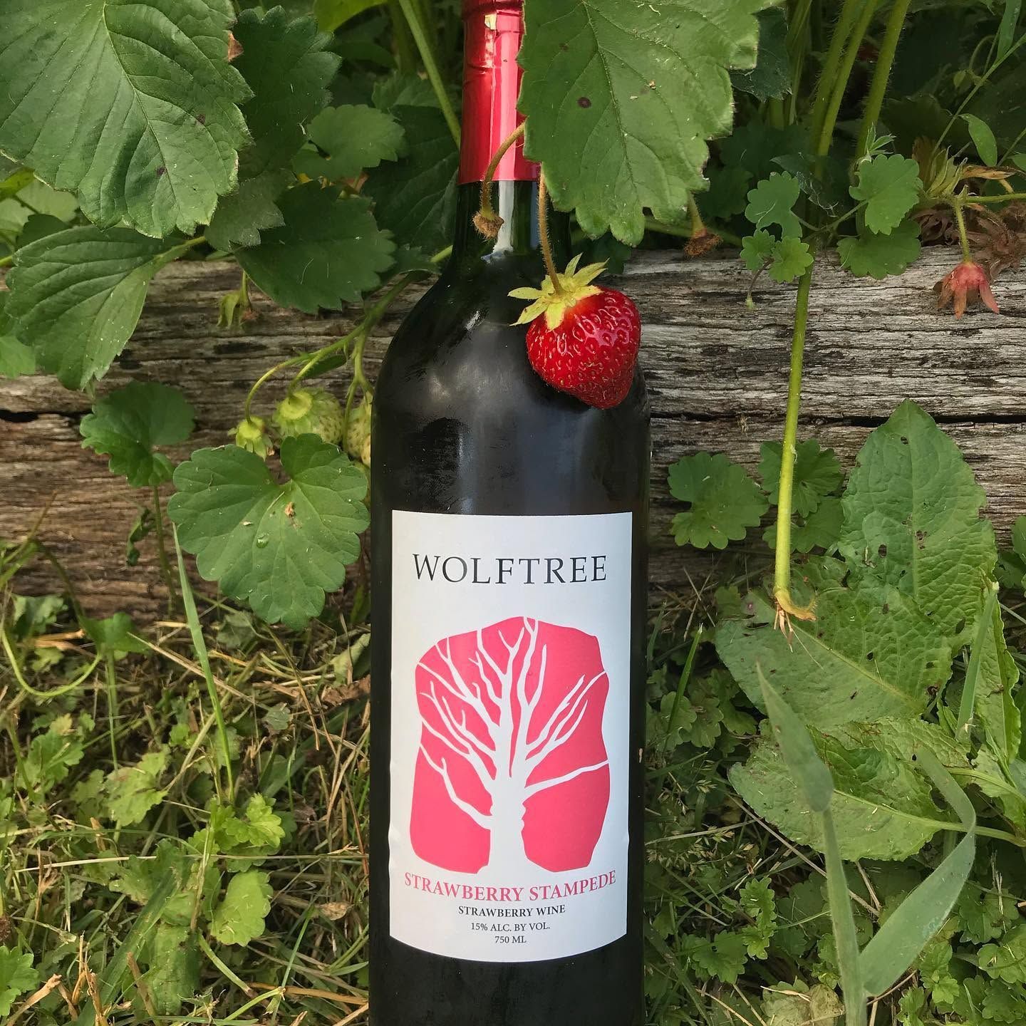 Wine bottle with a red label hanging in strawberry plants, with a ripe strawberry beside it.