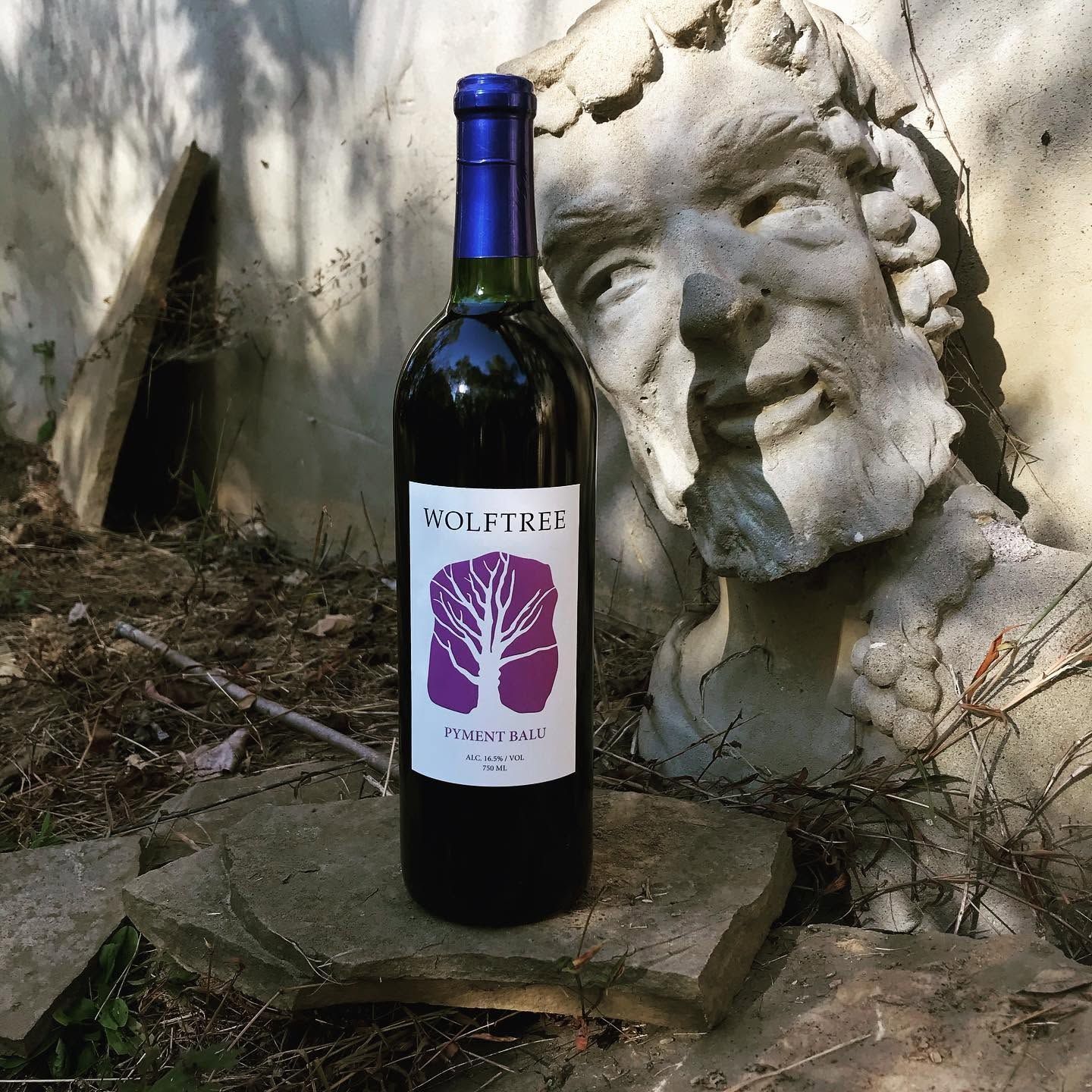 Wine bottle with blue foil standing on a stone beside a weathered stone face in an outdoor setting