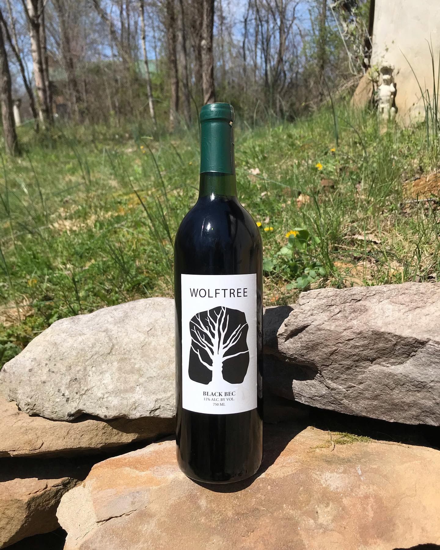 Bottle of red wine standing on rocks outdoors in a grassy, wooded area.