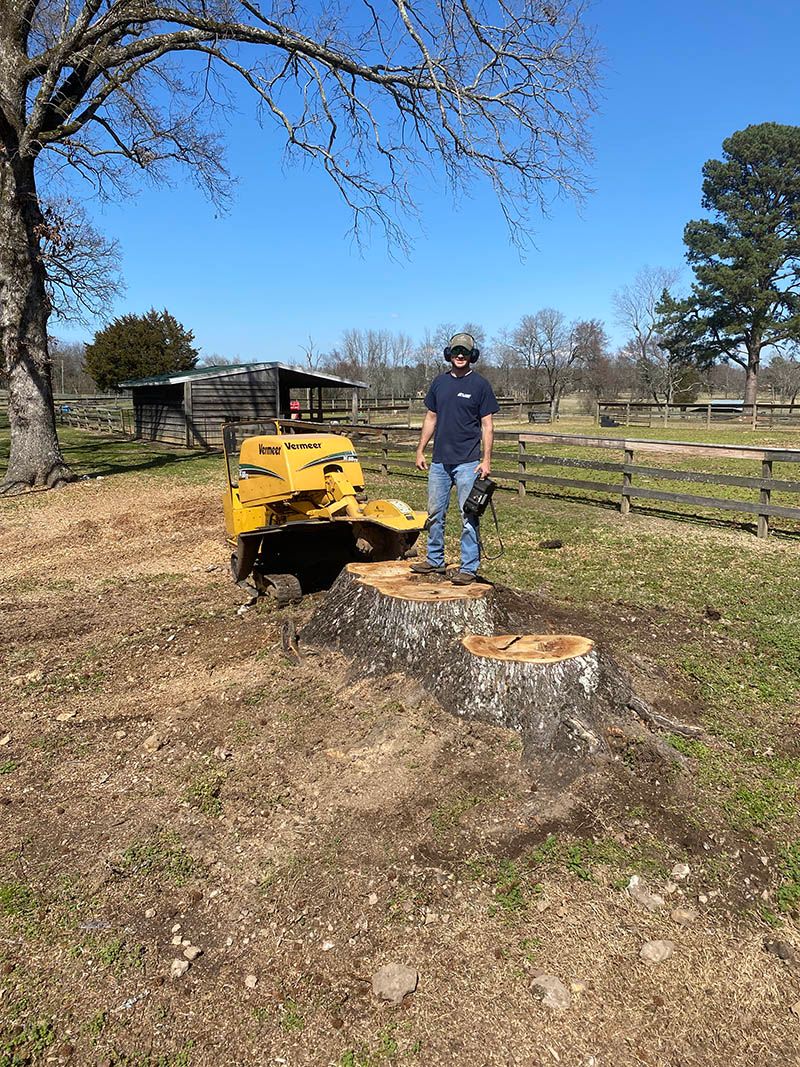 Man standing on a tree stump