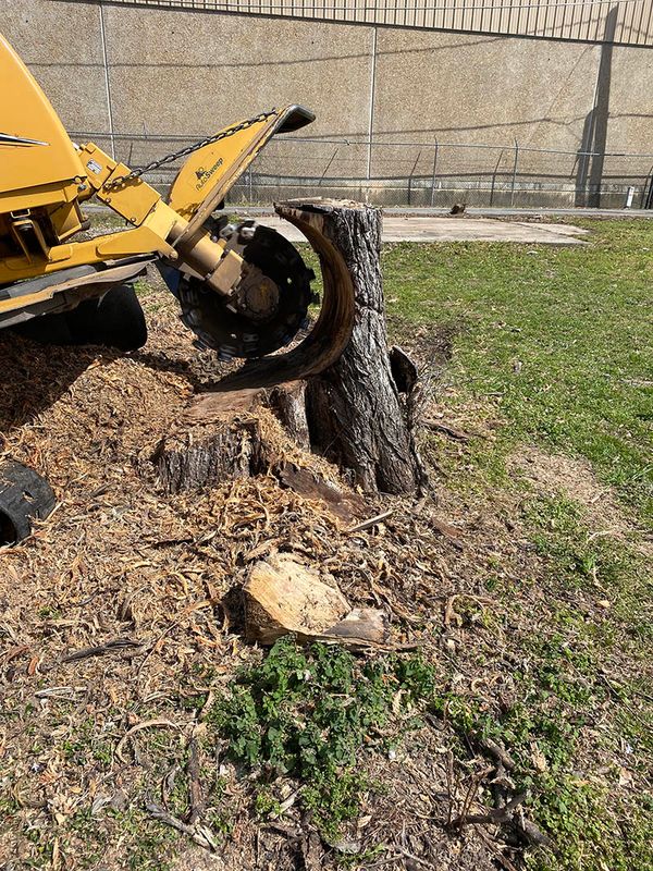 Stump grinding service  by Stump Pro Grinding